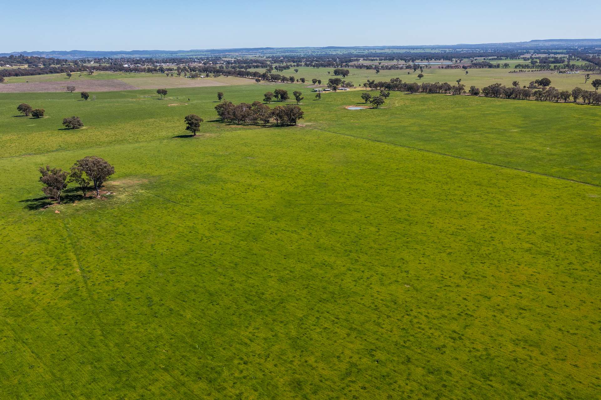 2510 Henry Lawson Drive, Gulgong For Sale by Farmbuy.com - image 6