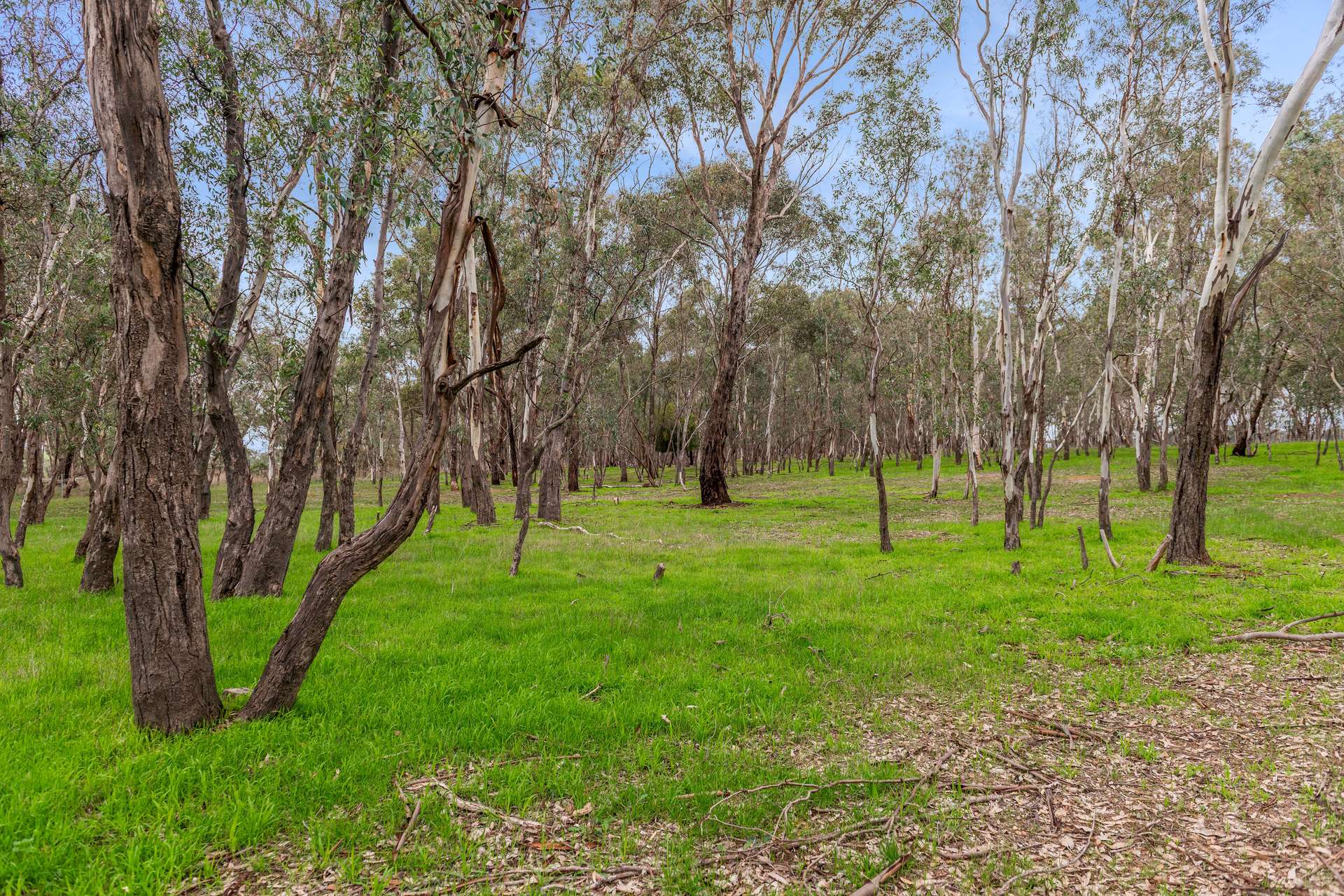 7 Derrinal Station Lane, Heathcote For Sale by Farmbuy.com - image 13