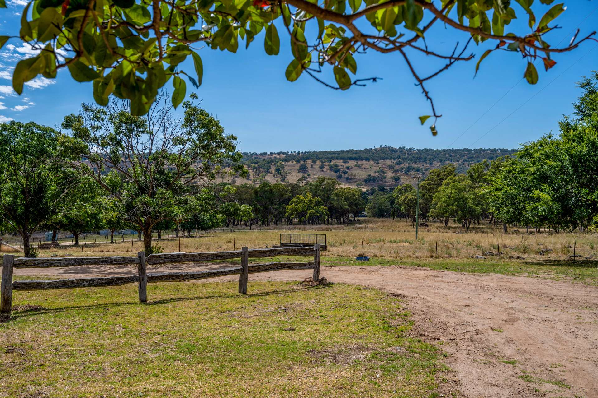 2779 Black Stump Way, Coolah For Sale by Farmbuy.com - image 23