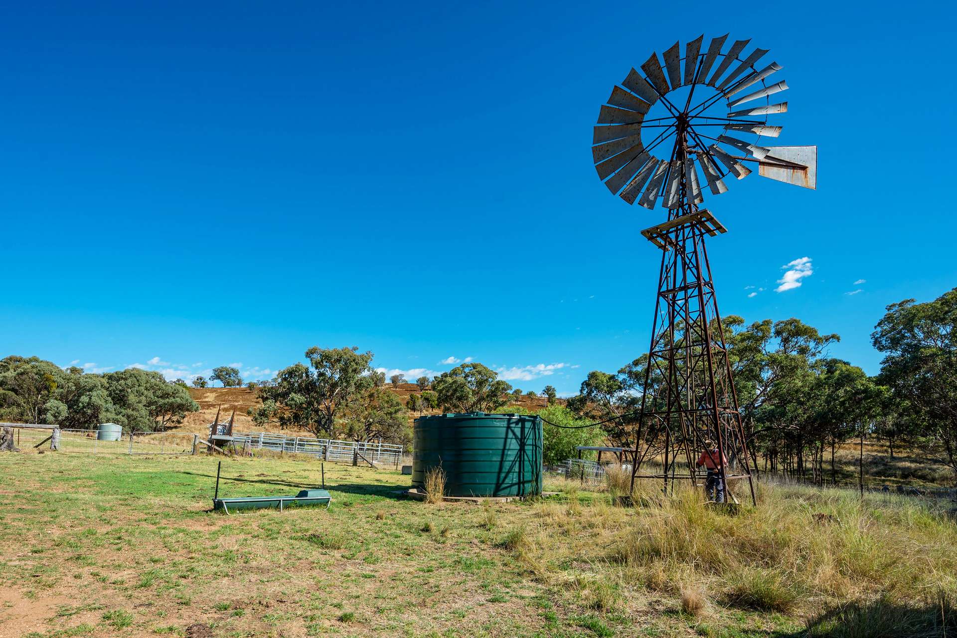 2779 Black Stump Way, Coolah For Sale by Farmbuy.com - image 16
