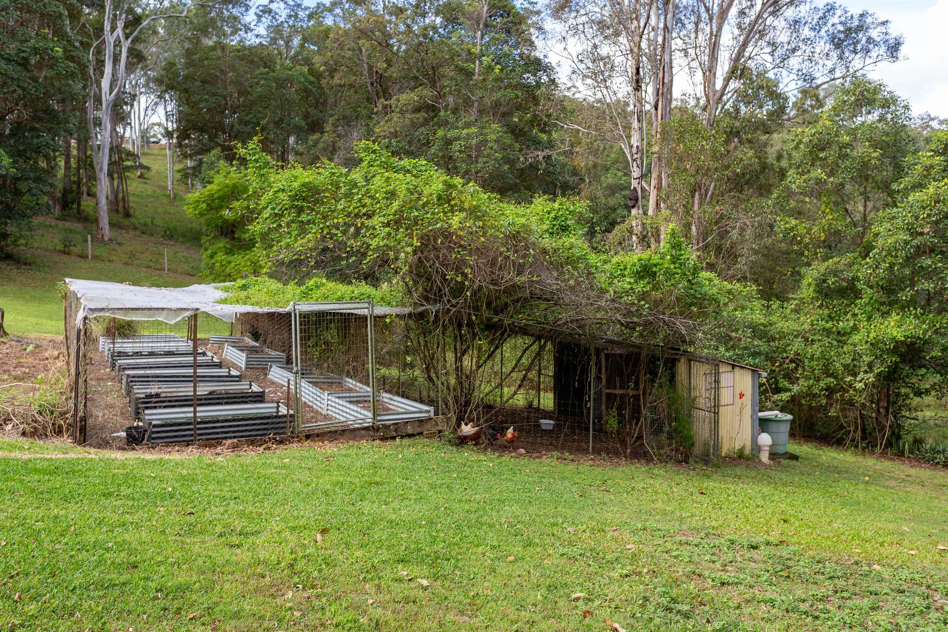 115 Traveston Crossing Road, Kybong For Sale by Farmbuy.com - image 35