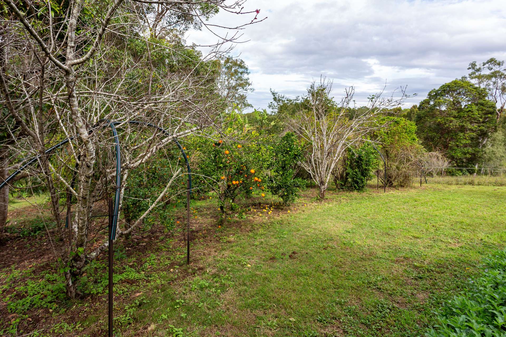 115 Traveston Crossing Road, Kybong For Sale by Farmbuy.com - image 32