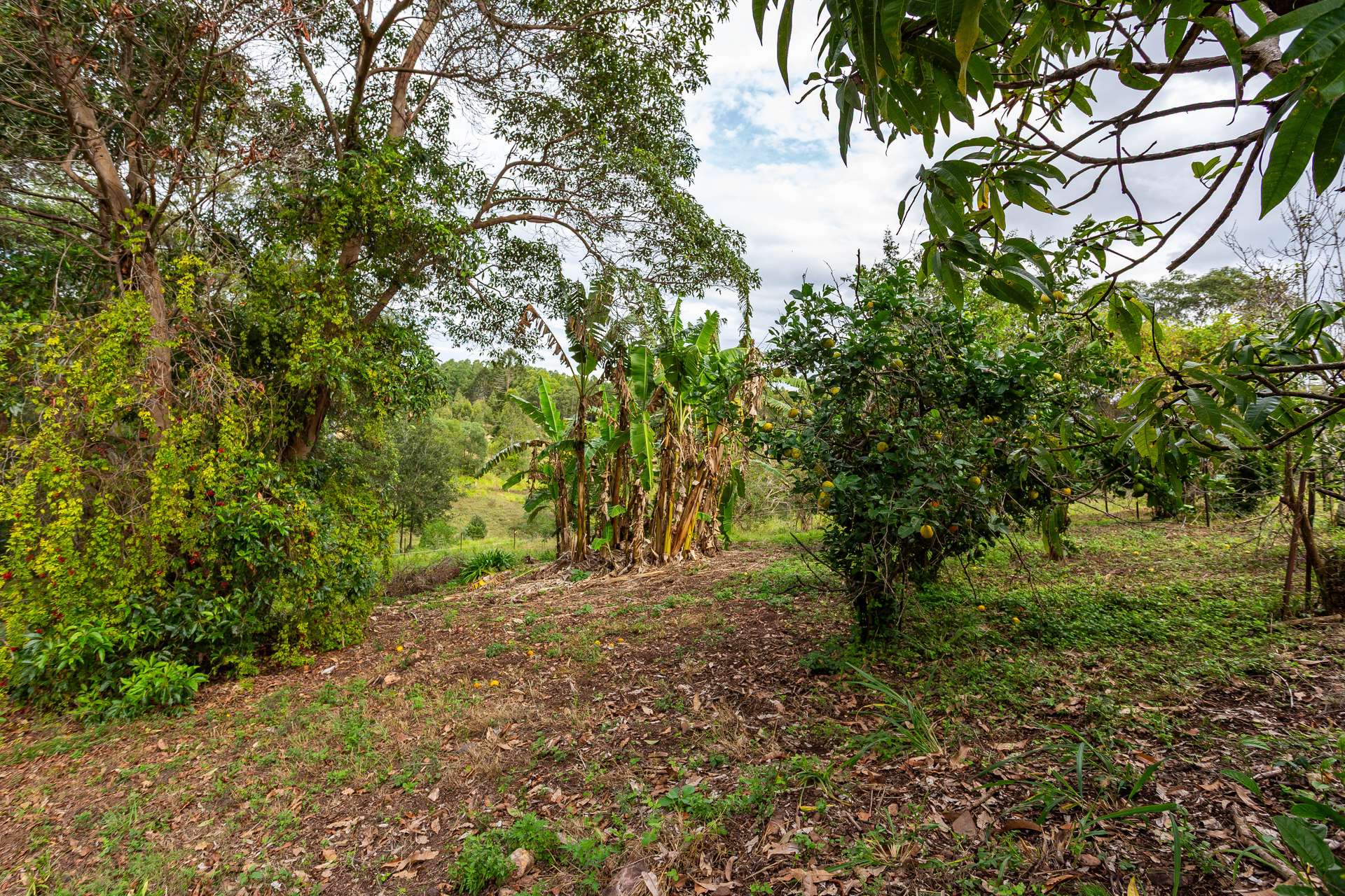 115 Traveston Crossing Road, Kybong For Sale by Farmbuy.com - image 33