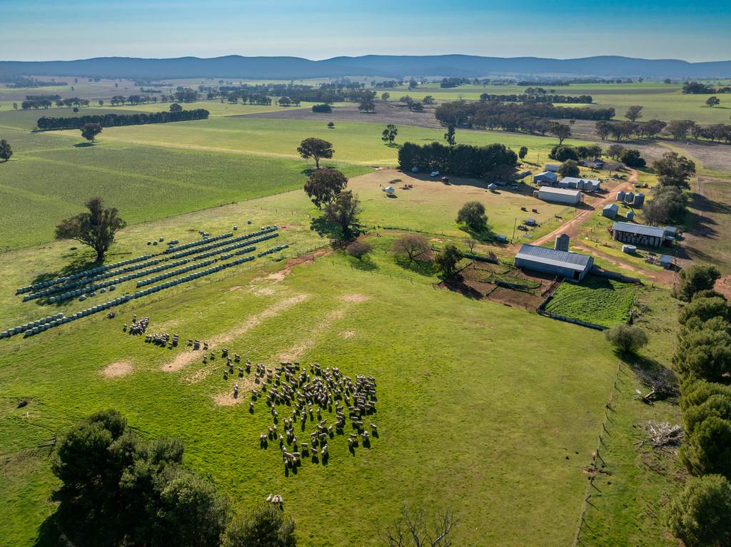 501 Mandagery Road, Mandagery NSW 2870