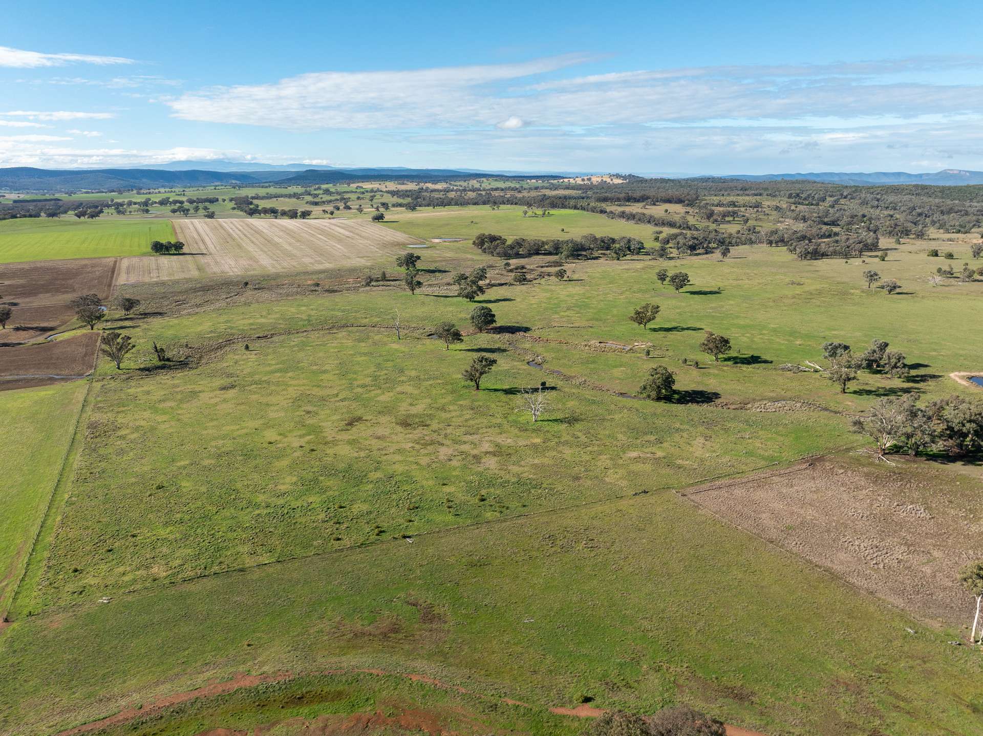 501 Mandagery Road, Mandagery For Sale by Farmbuy.com - image 29