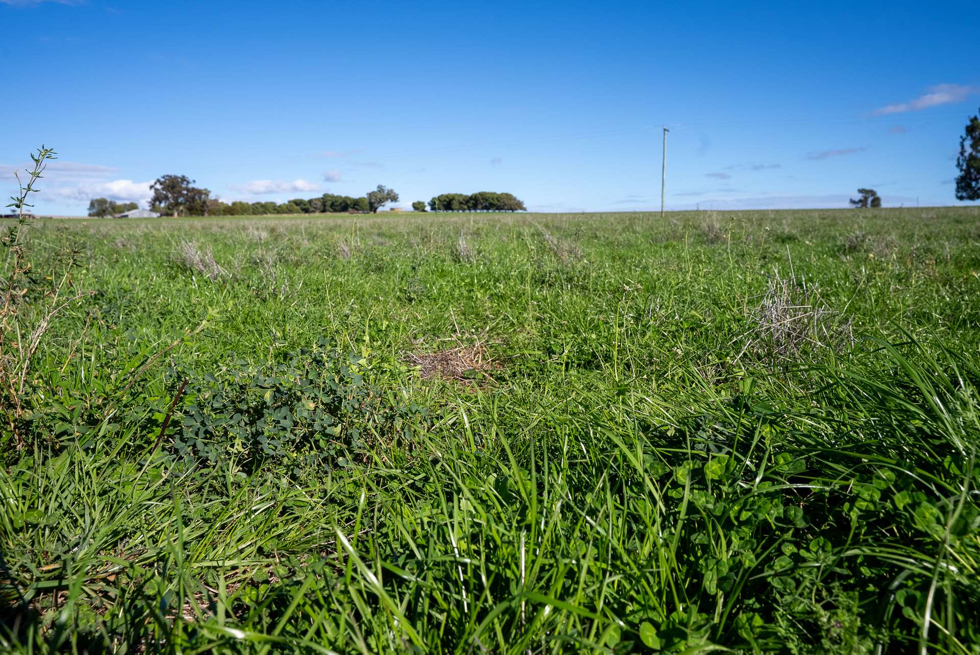 501 Mandagery Road, Mandagery For Sale by Farmbuy.com - image 22