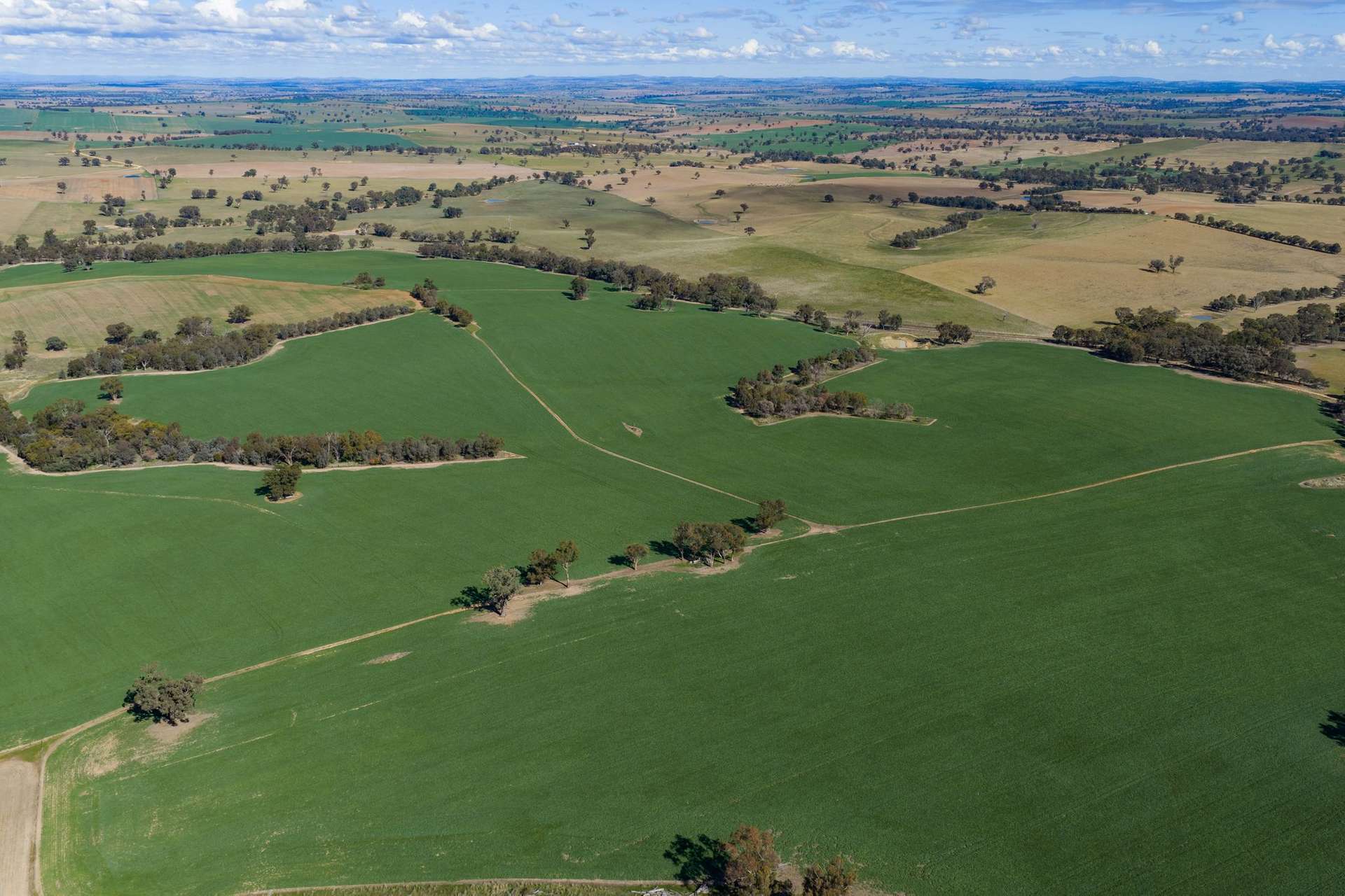 1722 Moppity Road, Young For Sale by Farmbuy.com - image 15