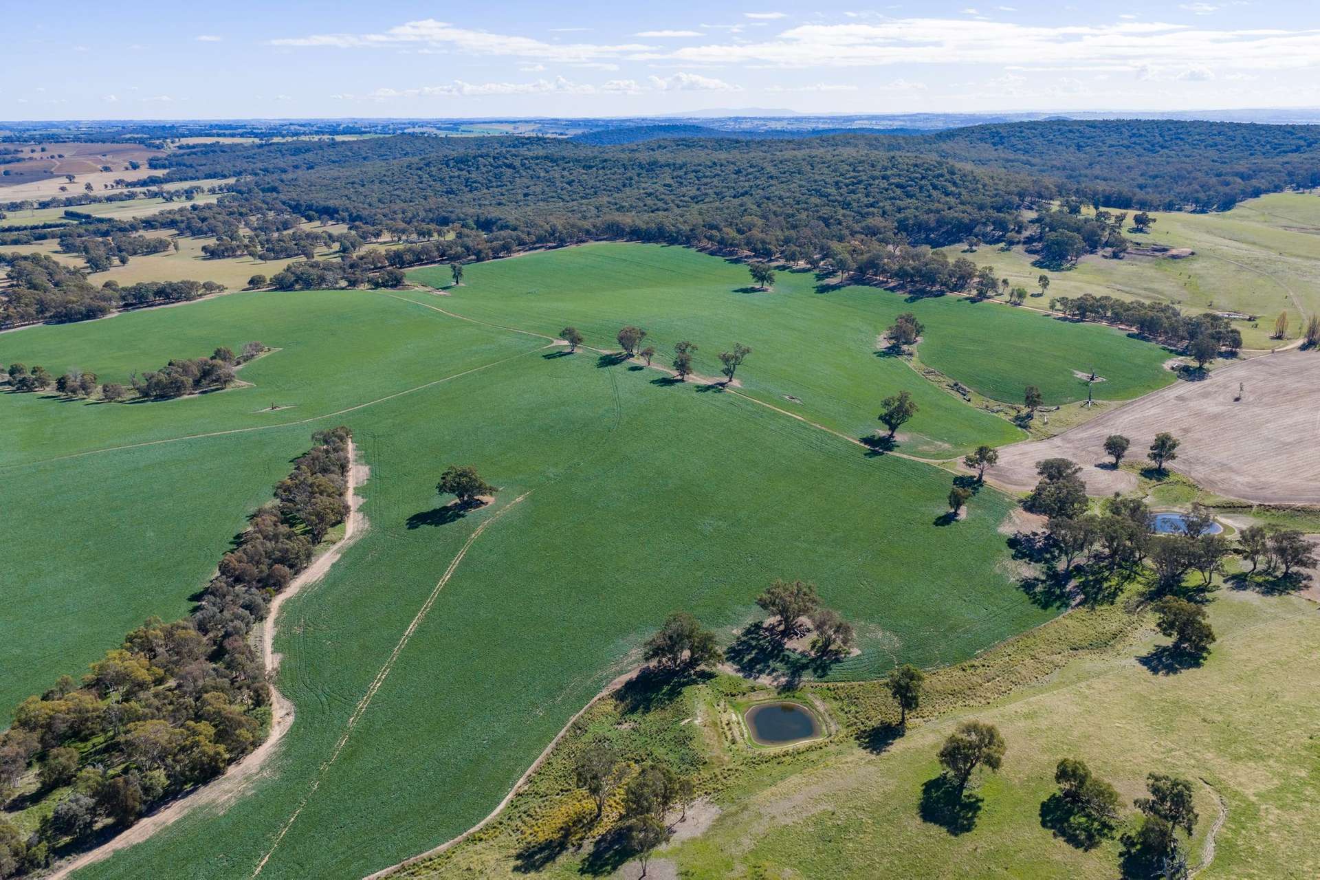 1722 Moppity Road, Young For Sale by Farmbuy.com - image 16