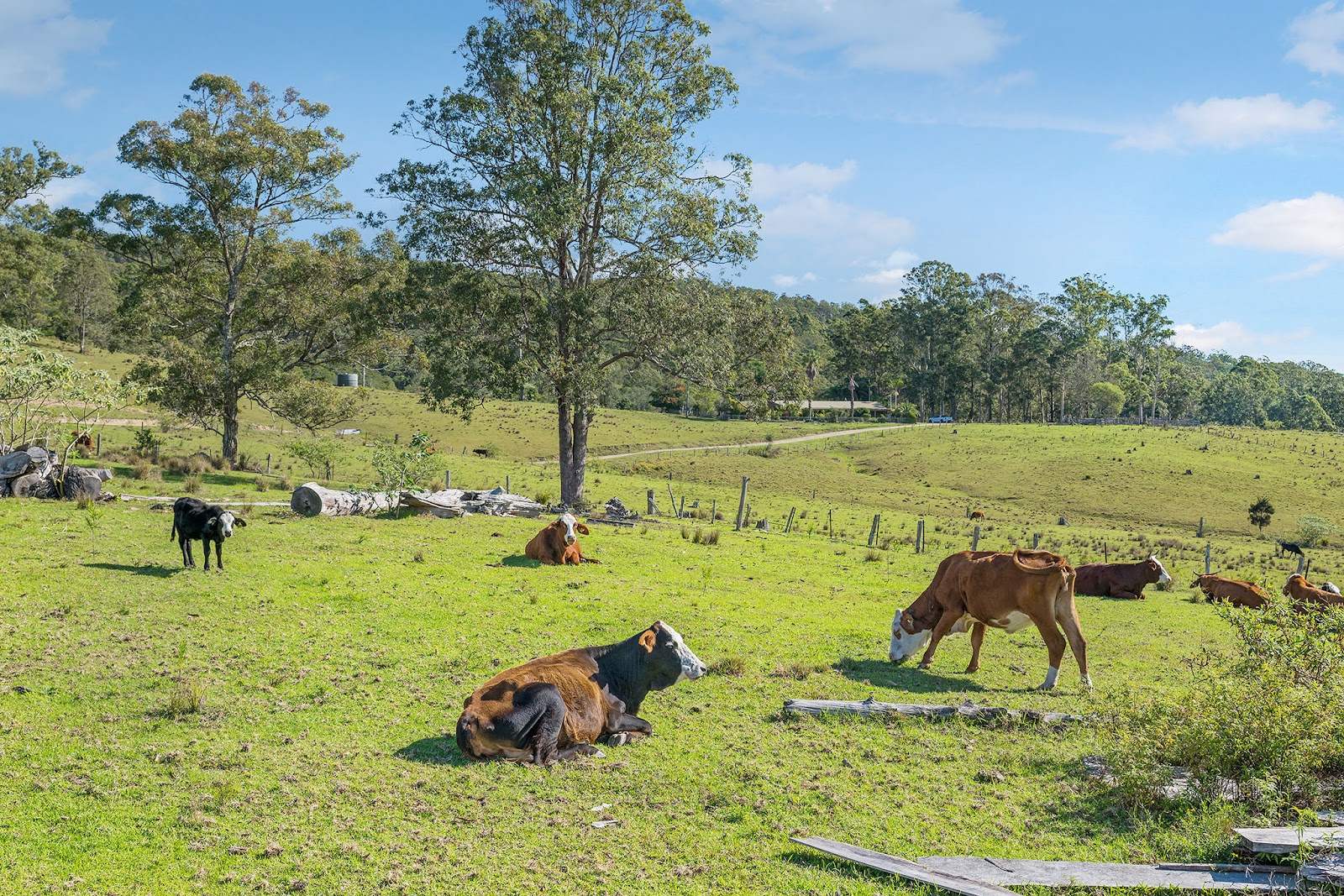 256 Spokes Road, Ballengarra For Sale by Farmbuy.com - image 27