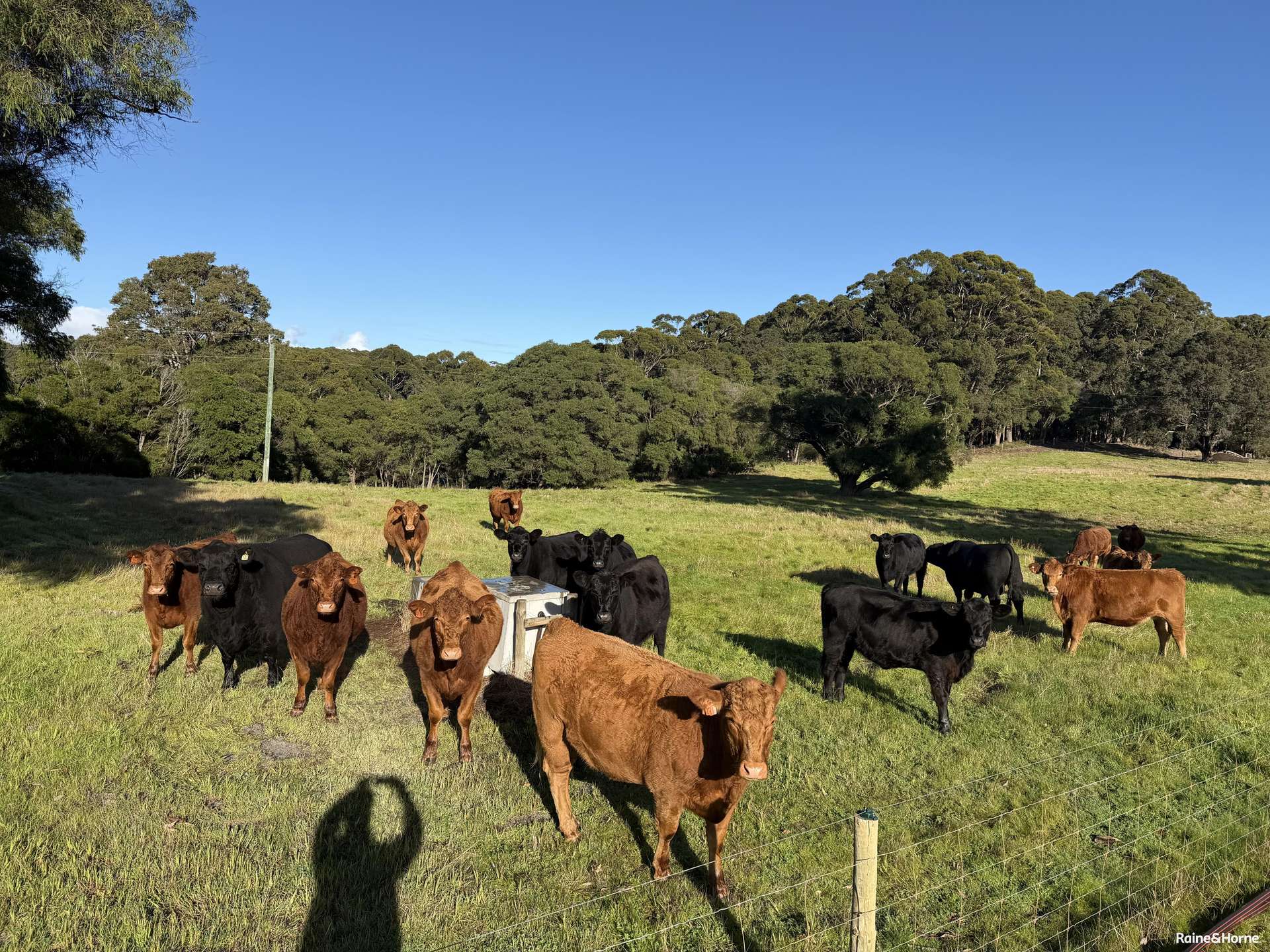 38701 South Western Highway, North Walpole For Sale by Farmbuy.com - image 7