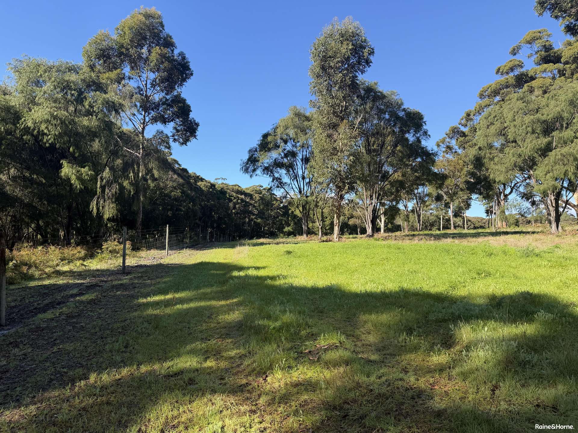 38701 South Western Highway, North Walpole For Sale by Farmbuy.com - image 14