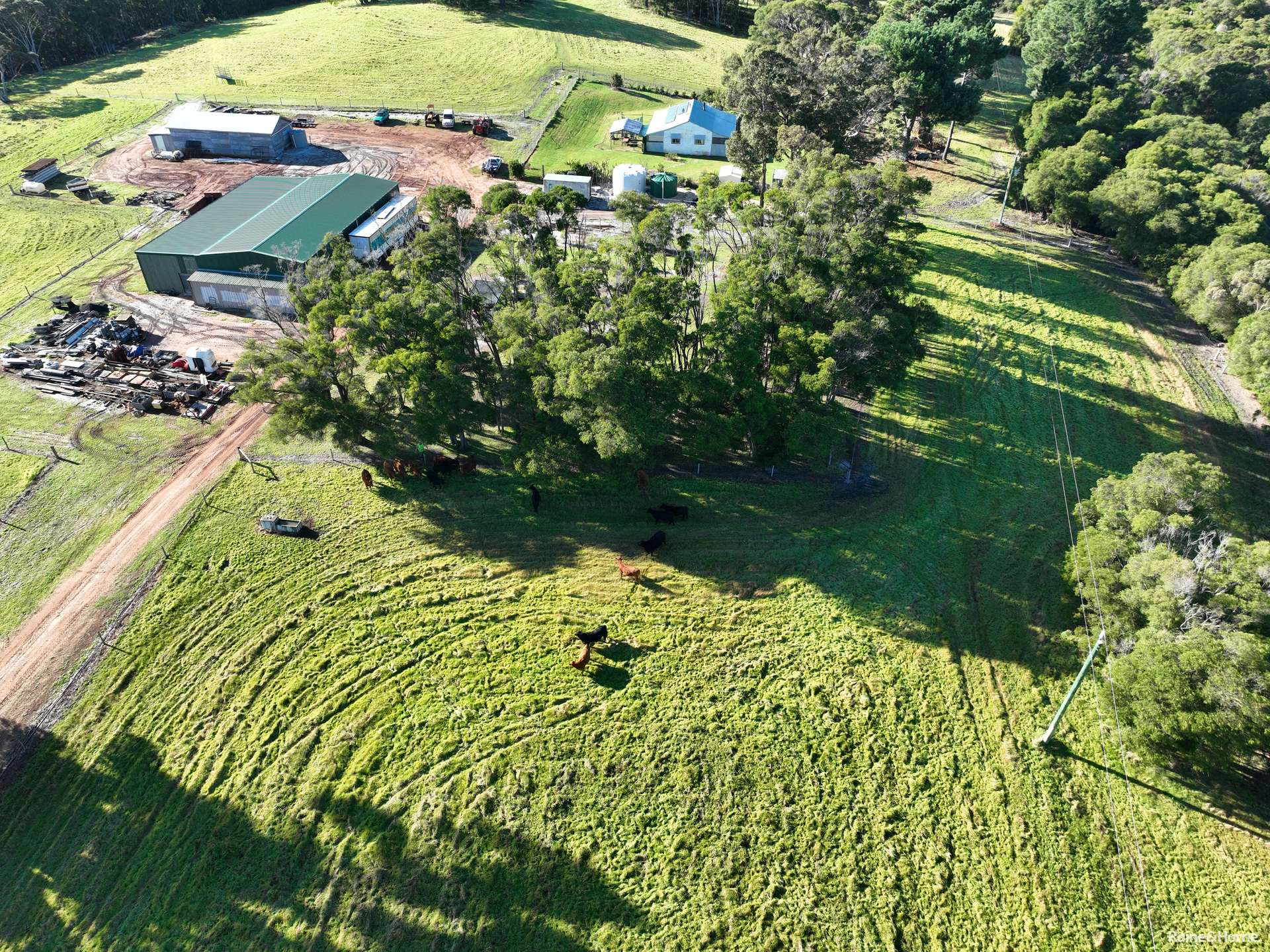 38701 South Western Highway, North Walpole For Sale by Farmbuy.com - image 5
