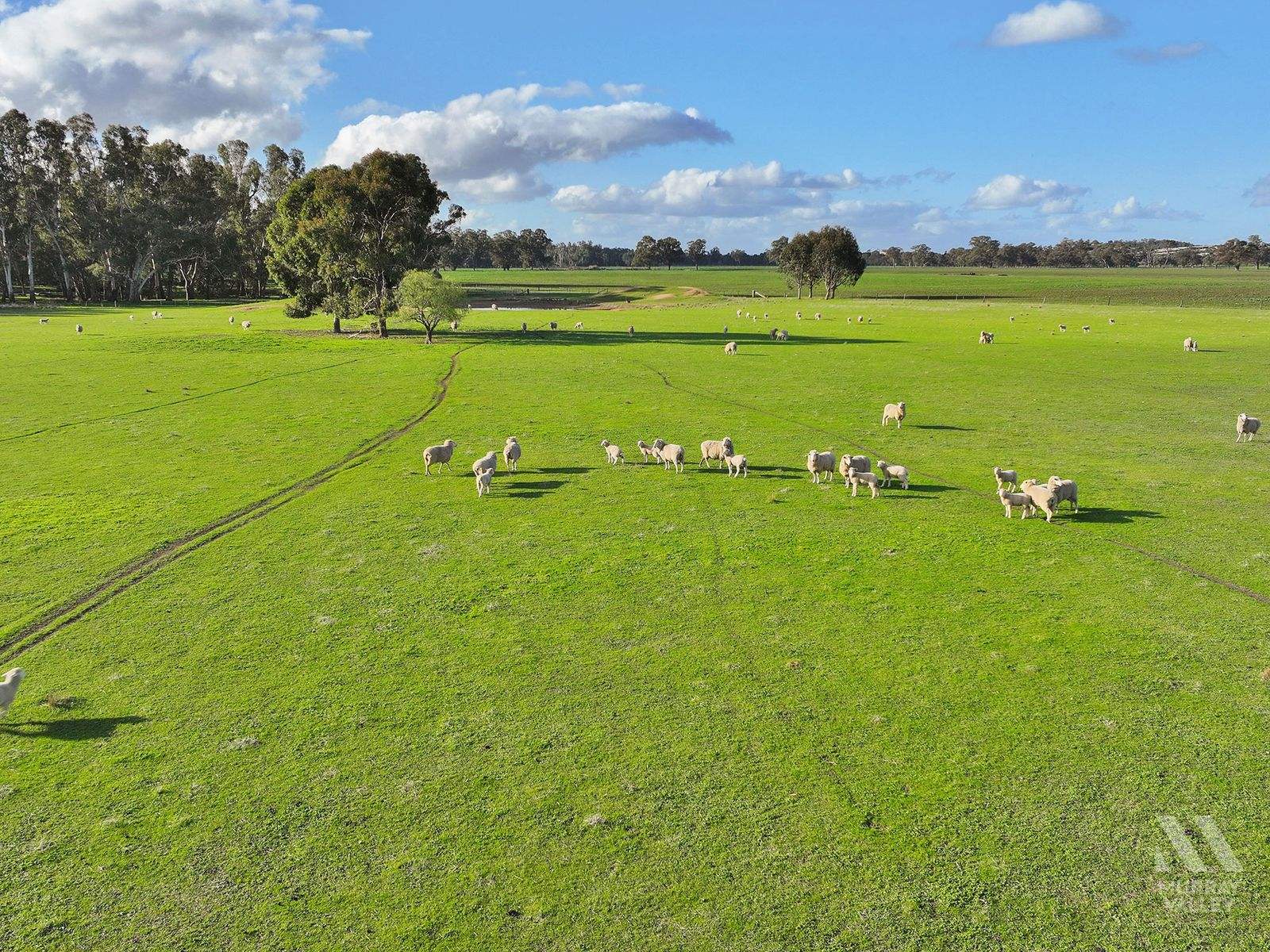 208 Mattamia Road, Peechelba For Sale by Farmbuy.com - image 26