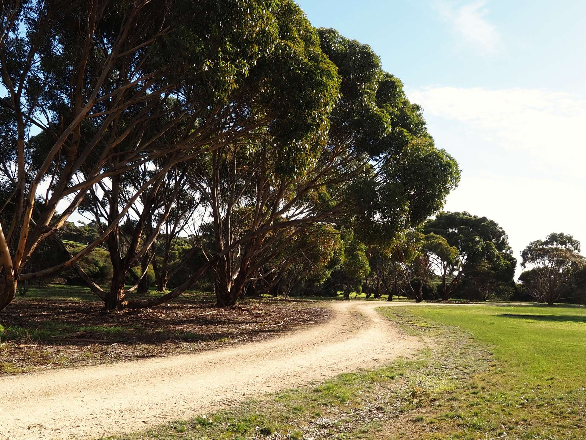 Lot 100 Curlew Court, Kingscote For Sale by Farmbuy.com - image 6