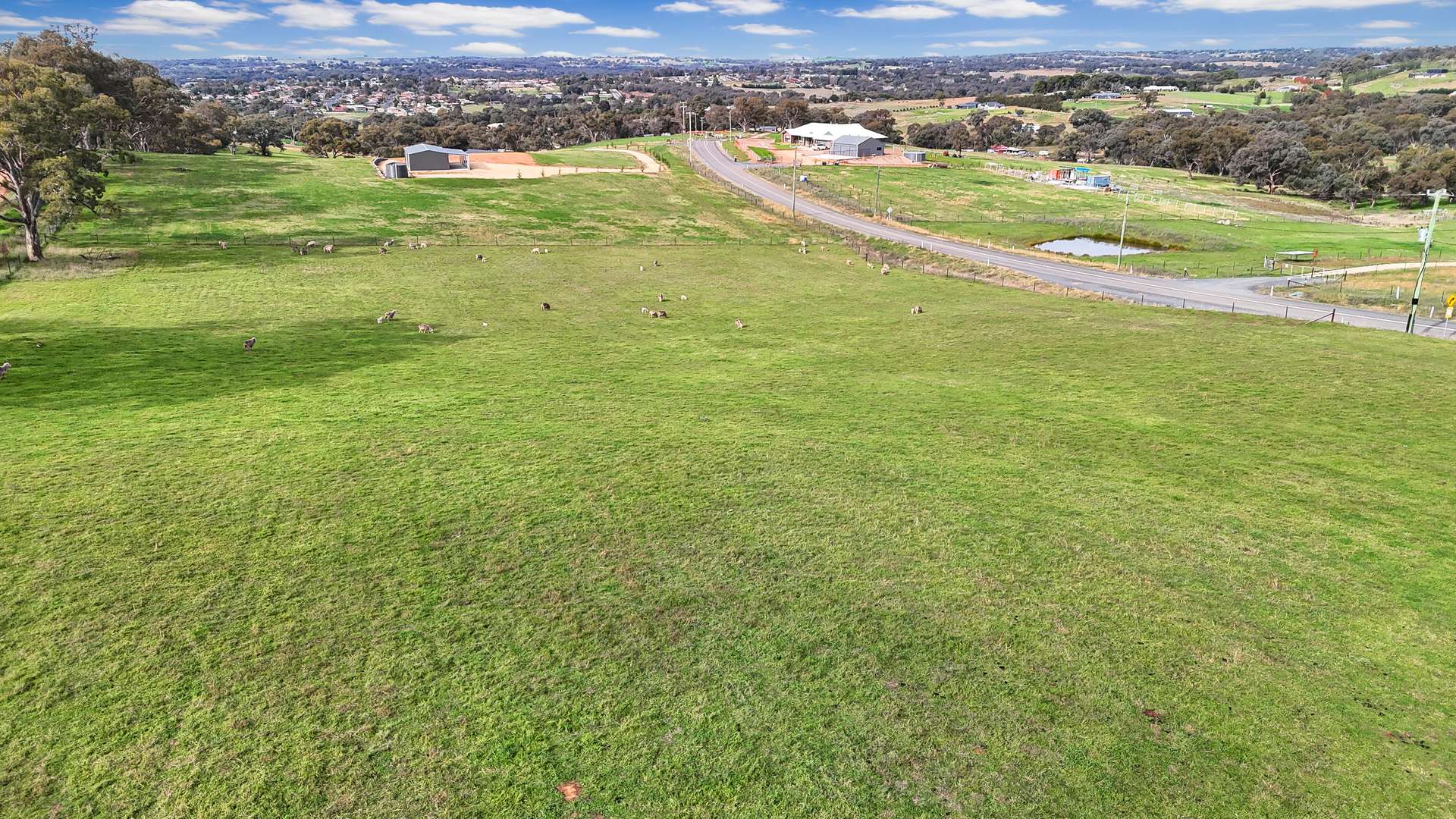 5 Tiedemann Place, Young For Sale by Farmbuy.com - image 10