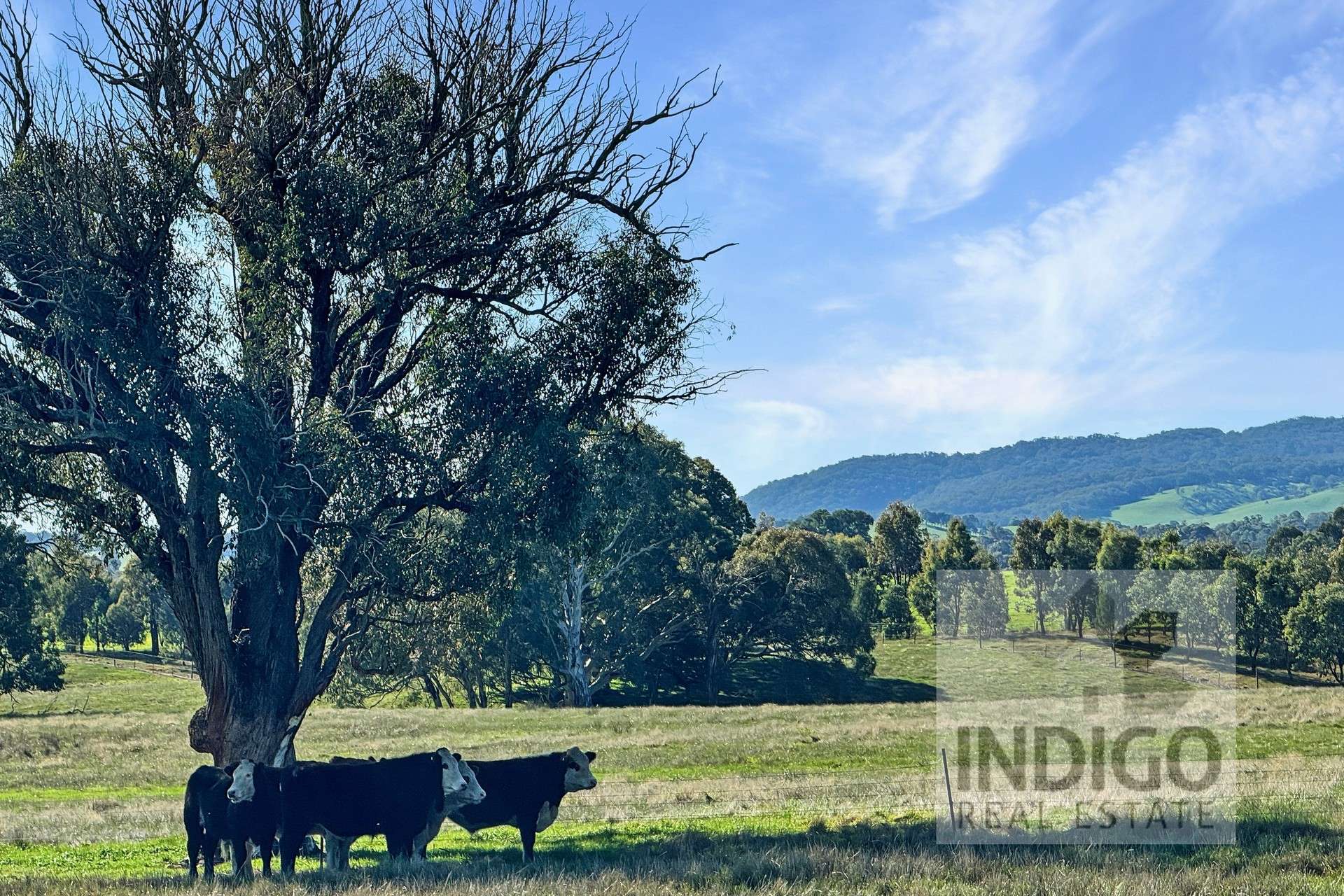 290 Fanning Lane, Wooragee For Sale by Farmbuy.com - image 20