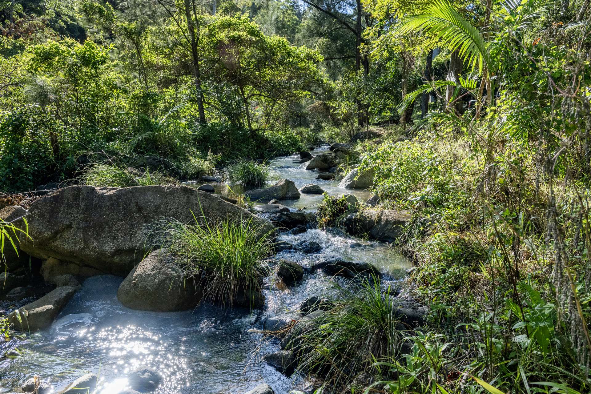 3077 Christmas Creek Road, Lamington Auction by Farmbuy.com - image 7
