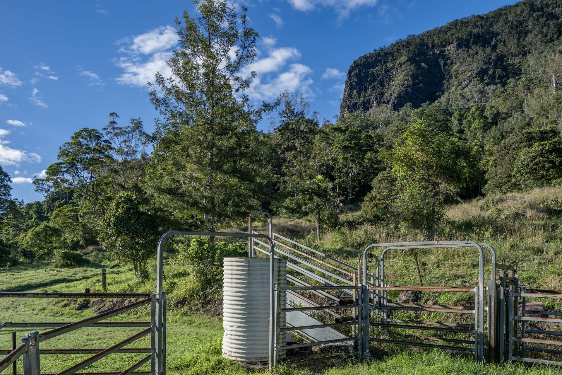 3077 Christmas Creek Road, Lamington Auction by Farmbuy.com - image 9