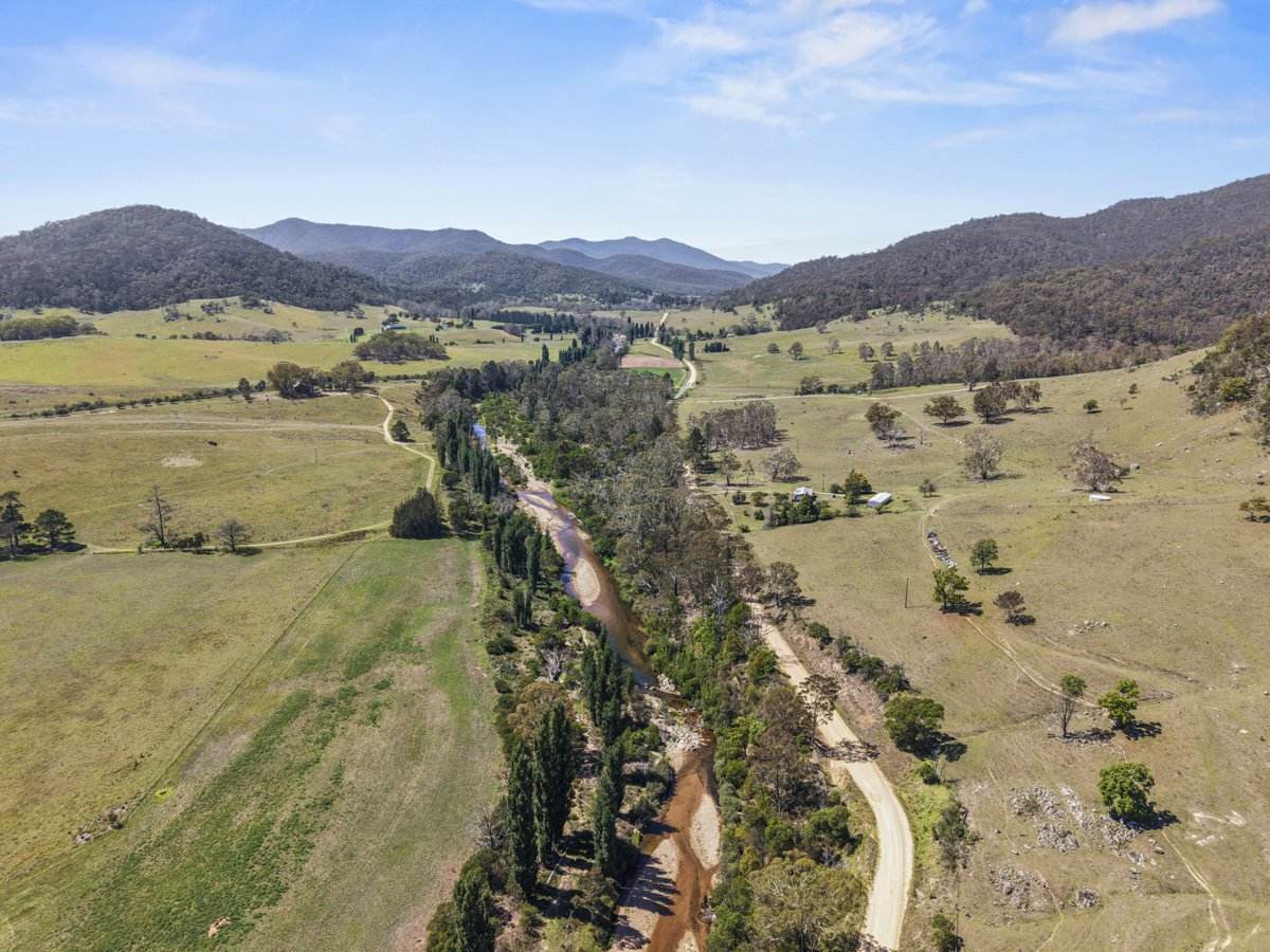 1109 Big Jack Mountain Road, Rocky Hall For Sale by Farmbuy.com - image 21