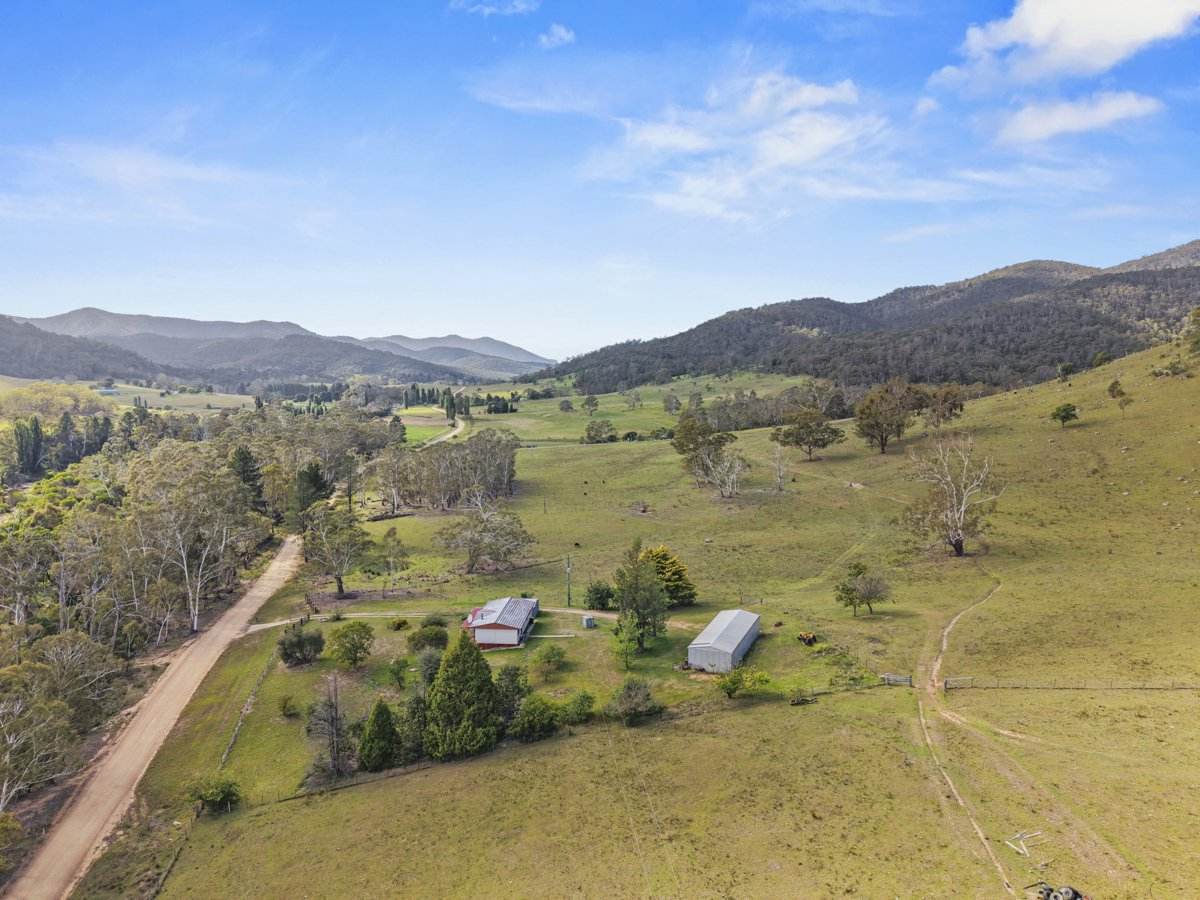 1109 Big Jack Mountain Road, Rocky Hall For Sale by Farmbuy.com - image 22