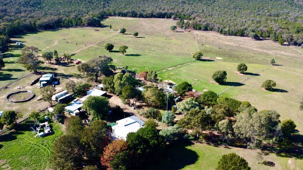 597 Fishers Lane Bendick Murrell Via, Young NSW 2594