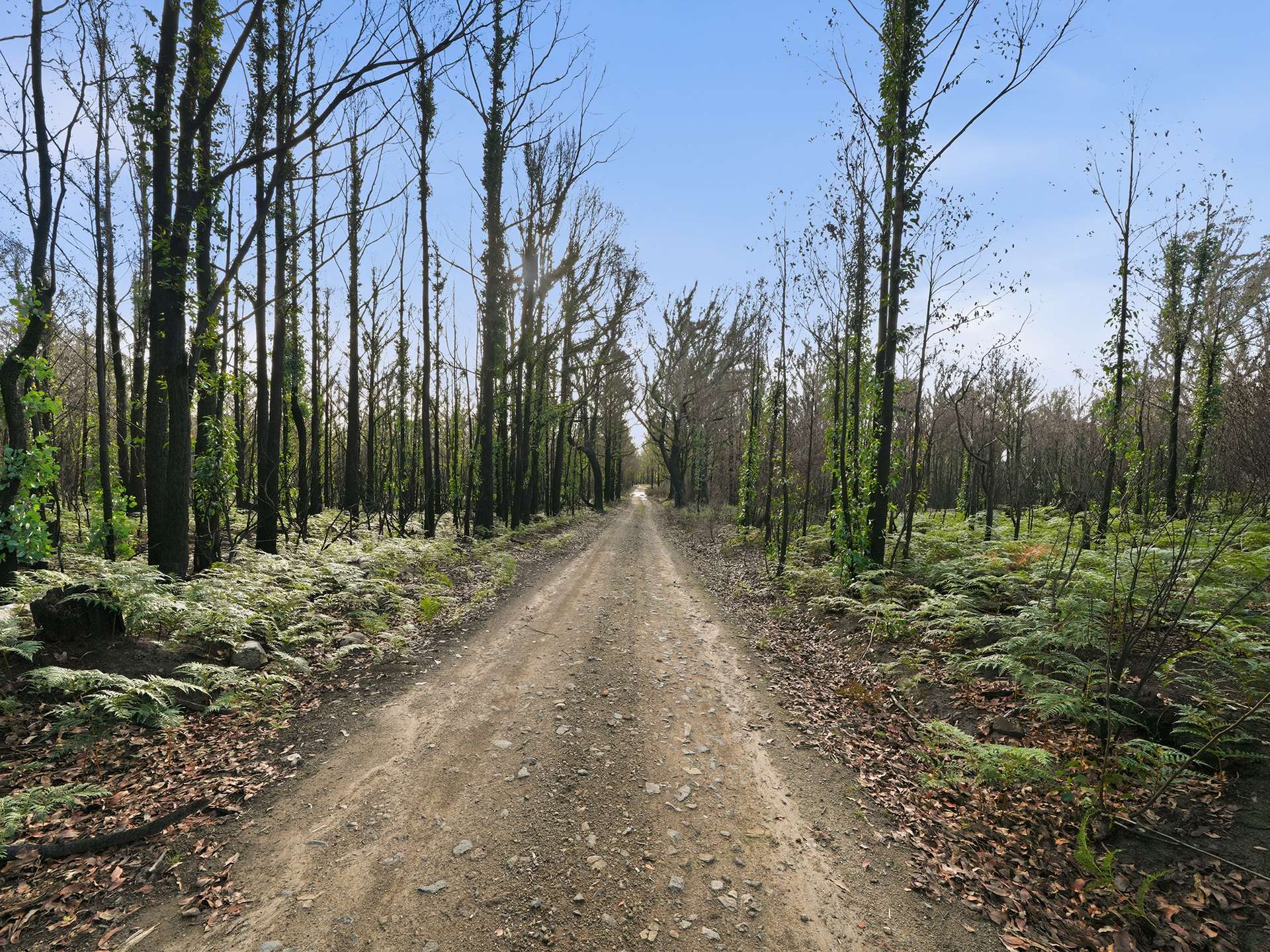 New Country Marsh Road, Levendale For Sale by Farmbuy.com - image 8