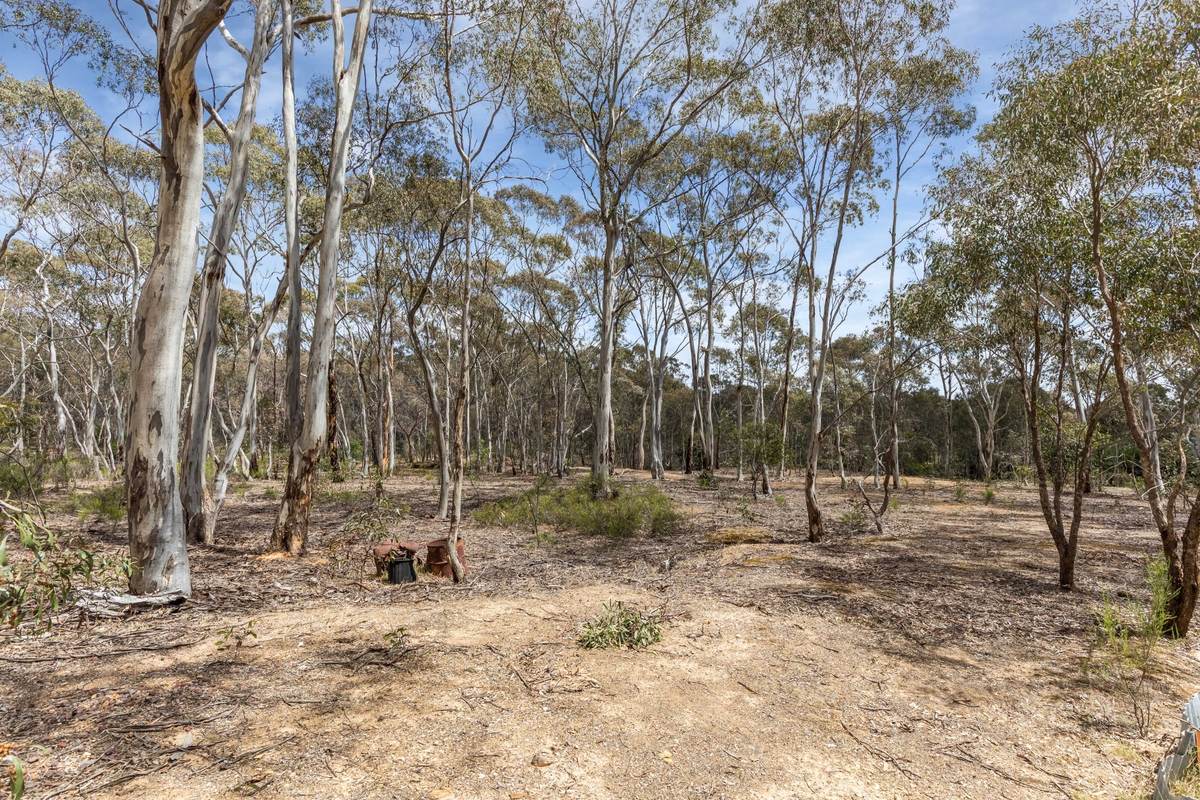 24 Scotts Crescent, Heathcote For Sale by Farmbuy.com - image 4
