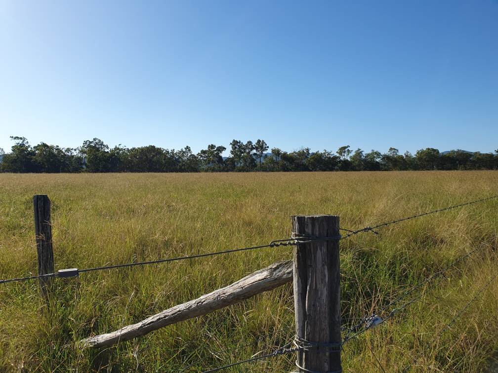 Mount Ossa For Sale by Farmbuy.com - image 23