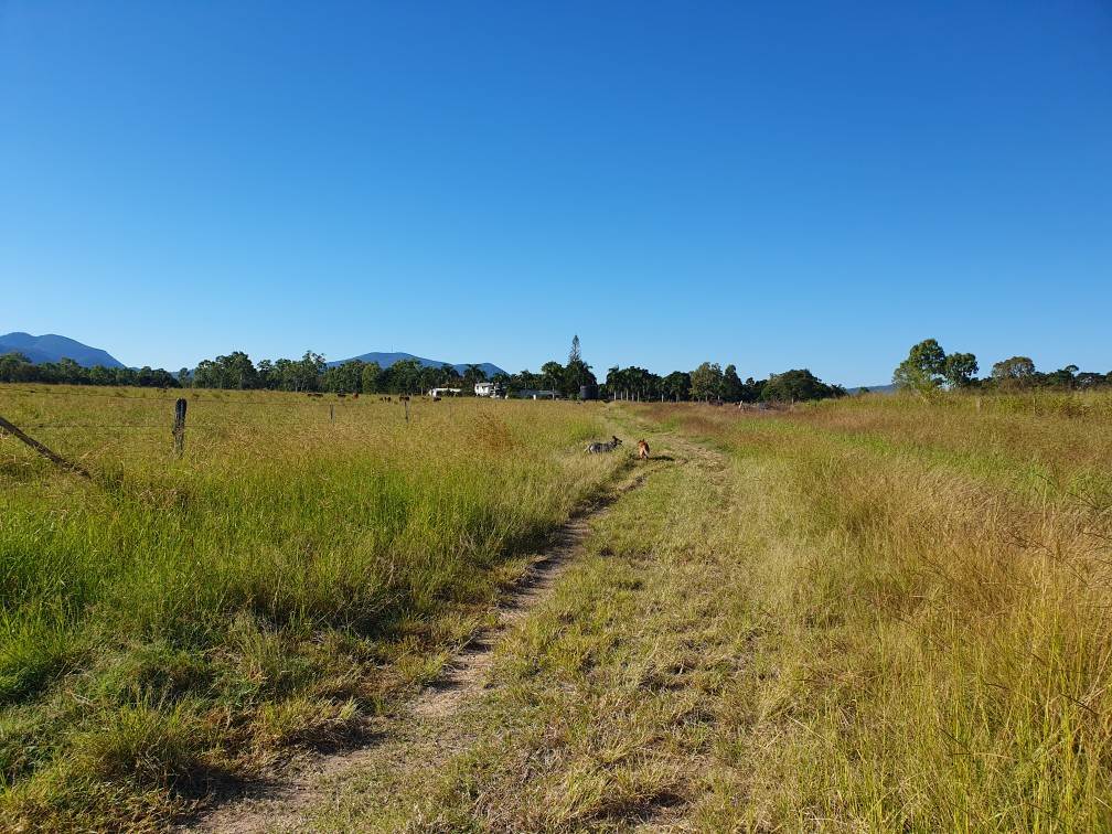 Mount Ossa For Sale by Farmbuy.com - image 25