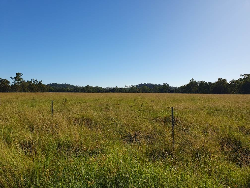 Mount Ossa For Sale by Farmbuy.com - image 24