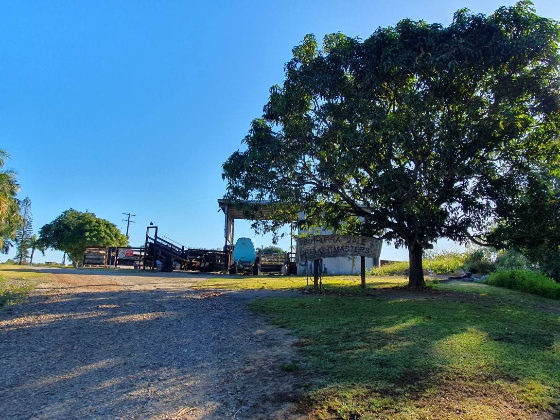 Mount Ossa For Sale by Farmbuy.com - image 30