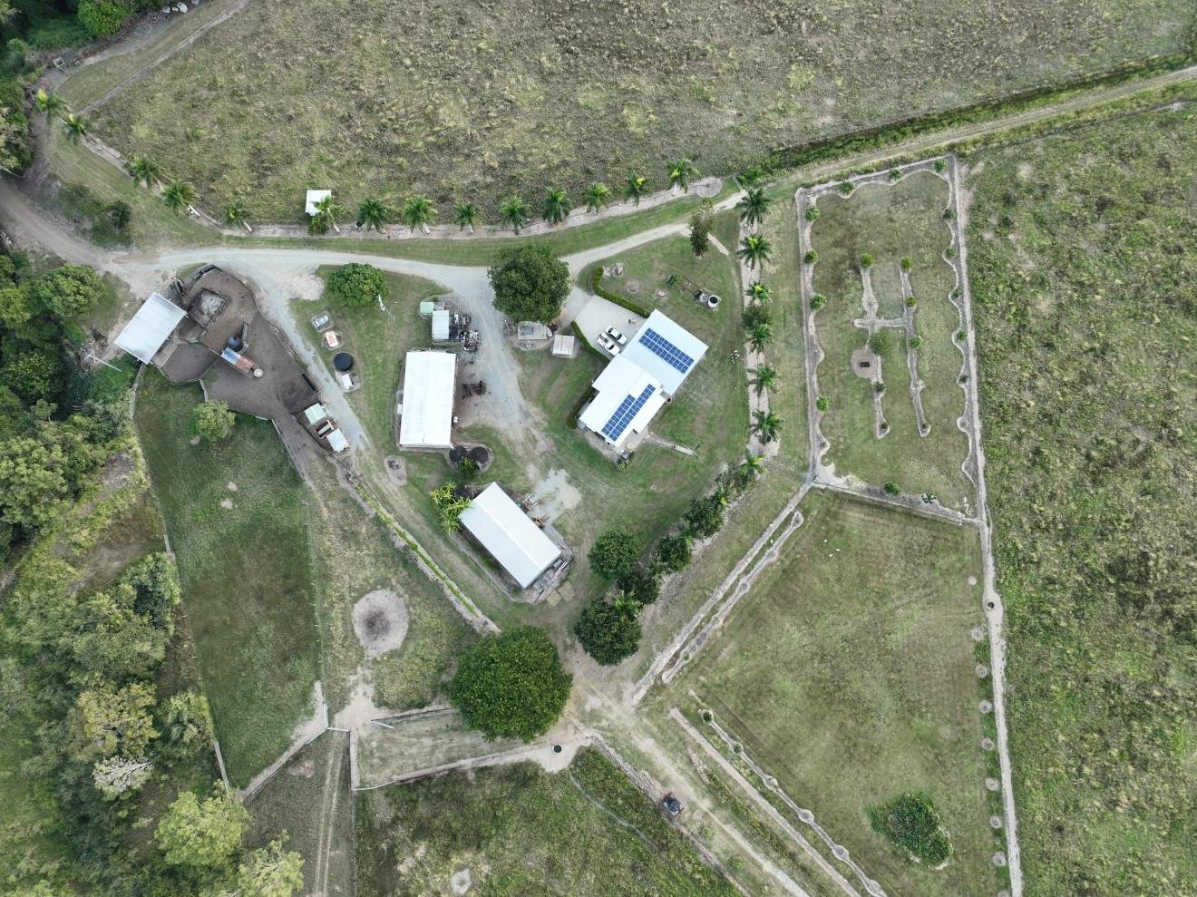 Mount Ossa For Sale by Farmbuy.com - image 8
