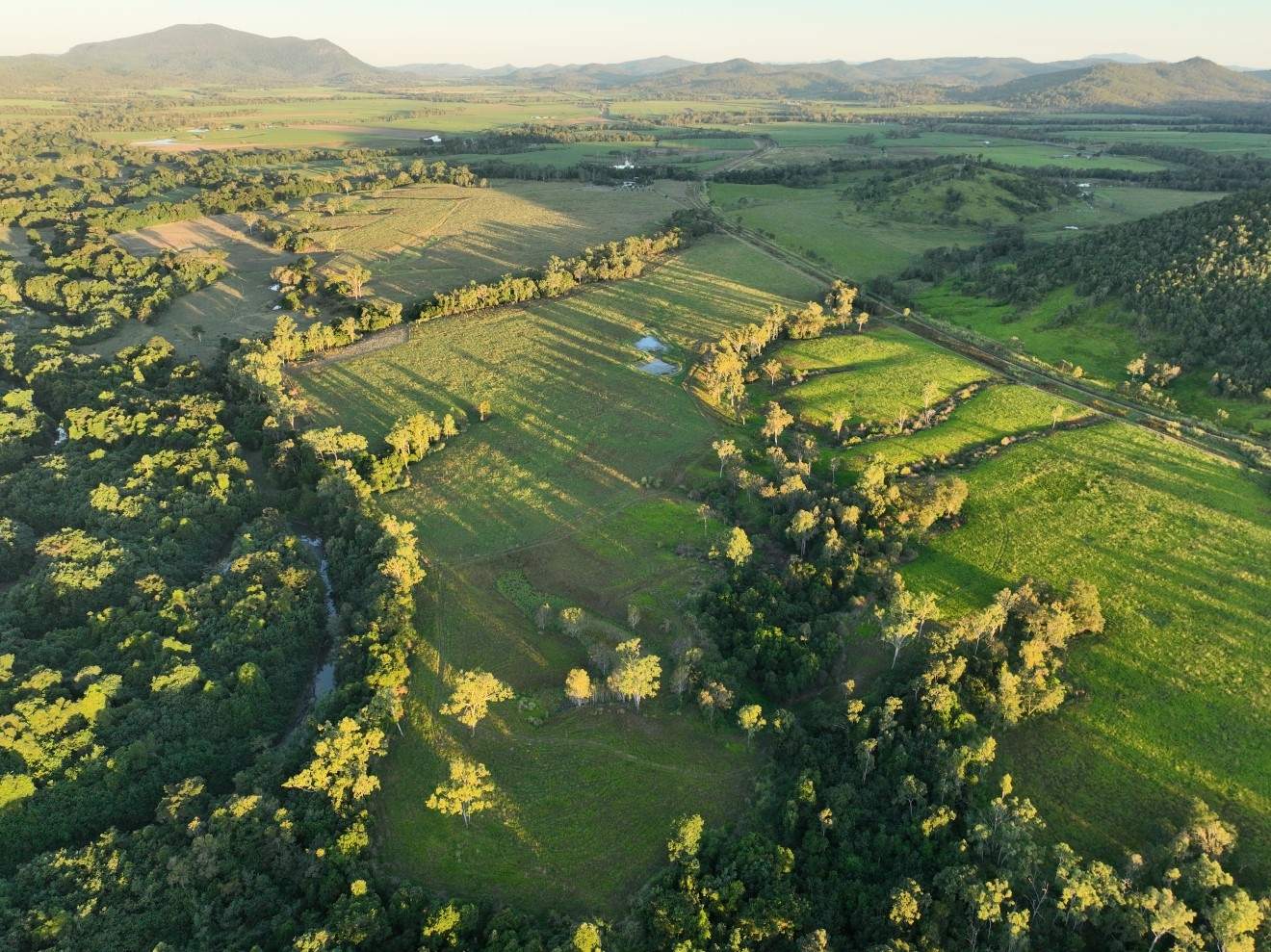 Mount Ossa For Sale by Farmbuy.com - image 5