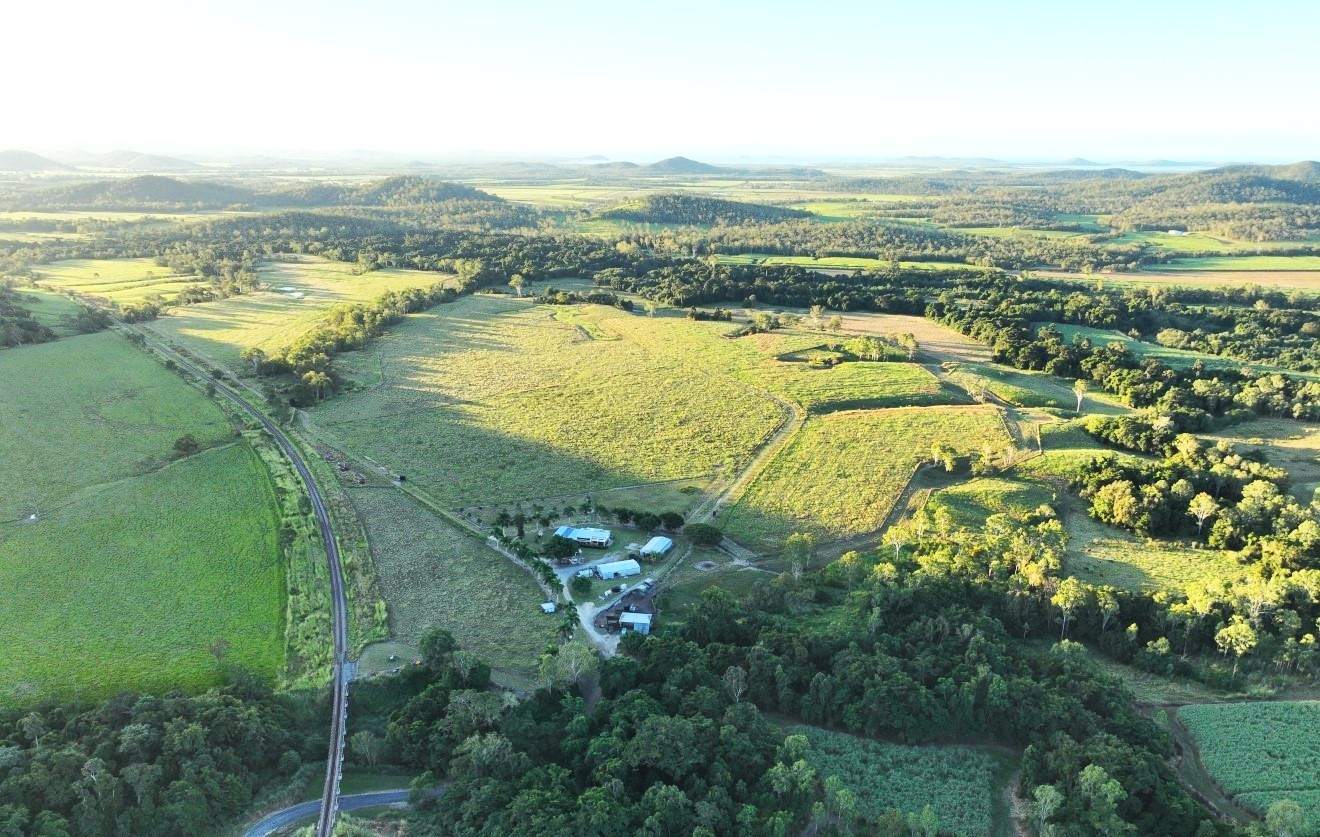 Mount Ossa For Sale by Farmbuy.com - image 3