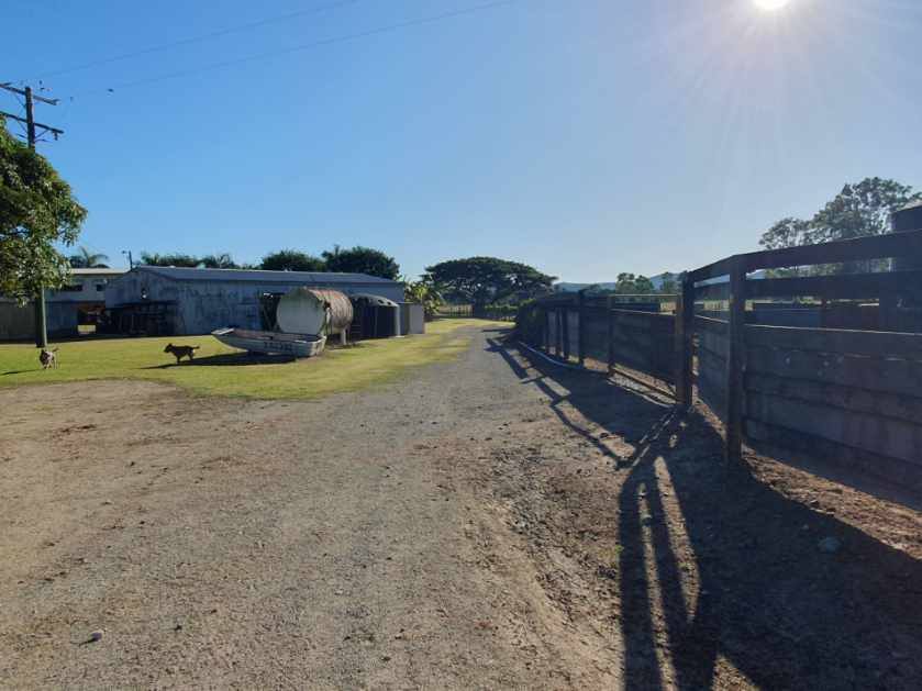 Mount Ossa For Sale by Farmbuy.com - image 21