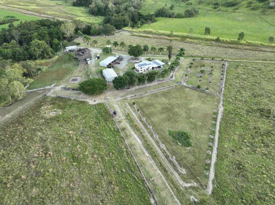 Mount Ossa For Sale by Farmbuy.com - image 2