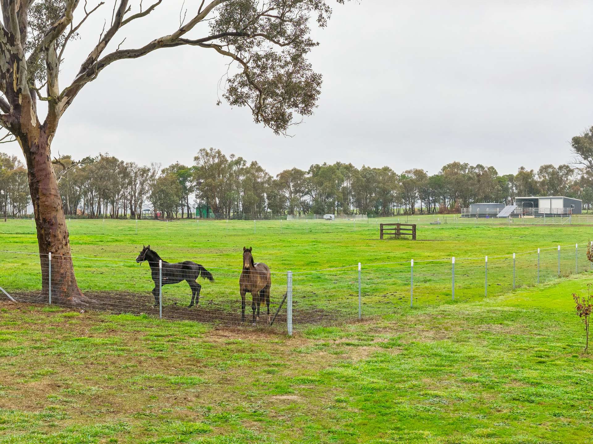 'Smithfield', 266 Gooda Creek Road, Murrumbateman Auction by Farmbuy.com - image 25