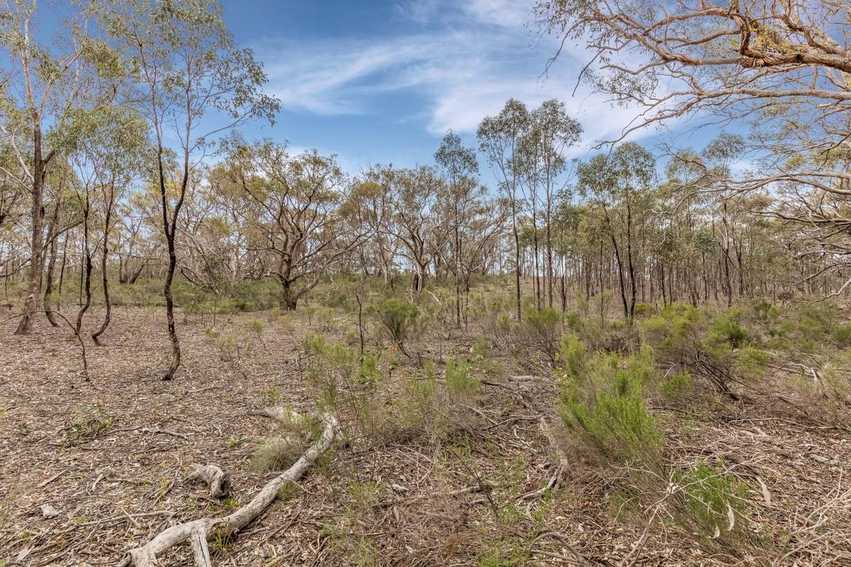 135 Chamberlain Road, Cornella For Sale by Farmbuy.com - image 2