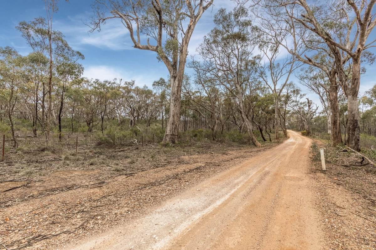 135 Chamberlain Road, Cornella For Sale by Farmbuy.com - image 1
