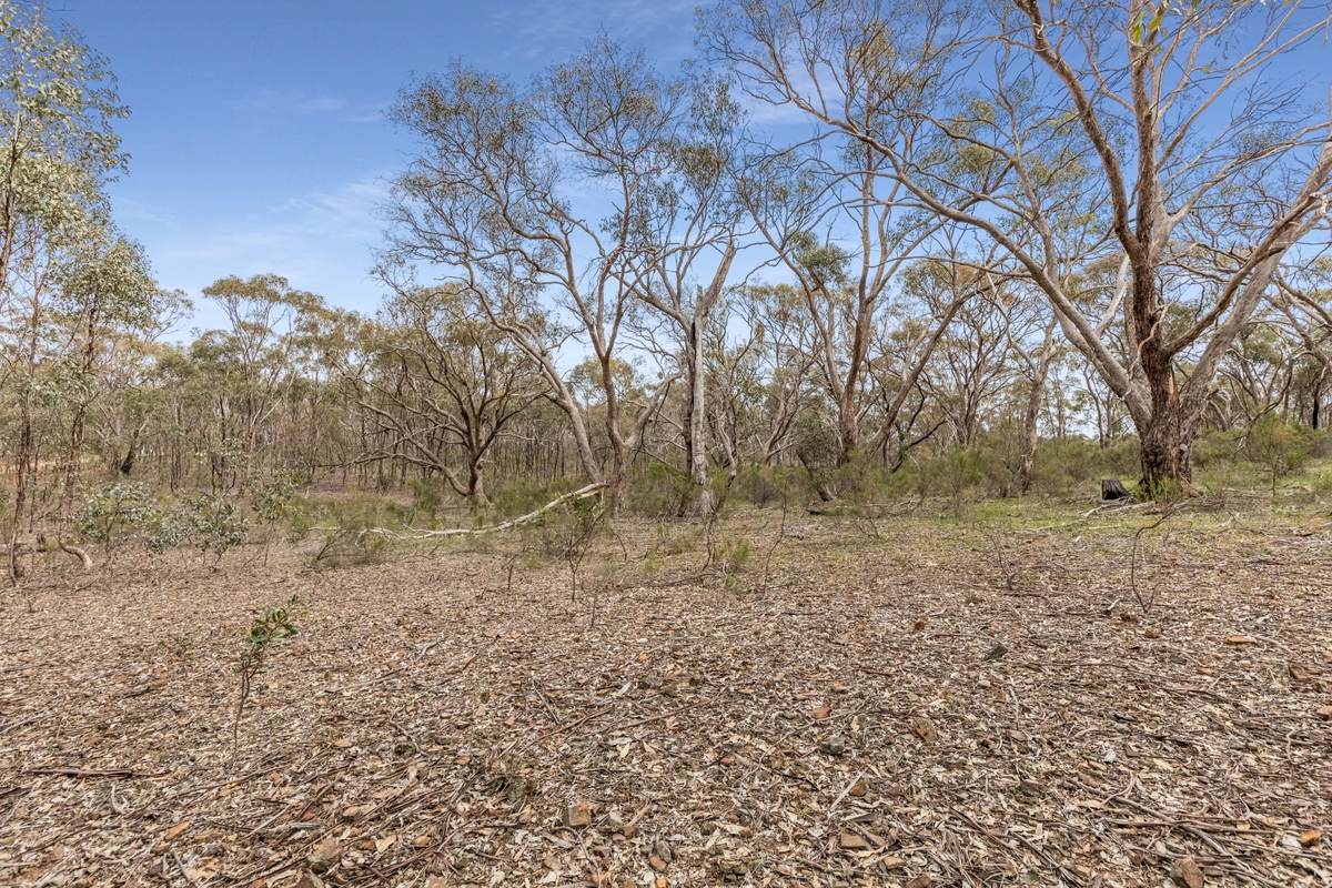 135 Chamberlain Road, Cornella For Sale by Farmbuy.com - image 3