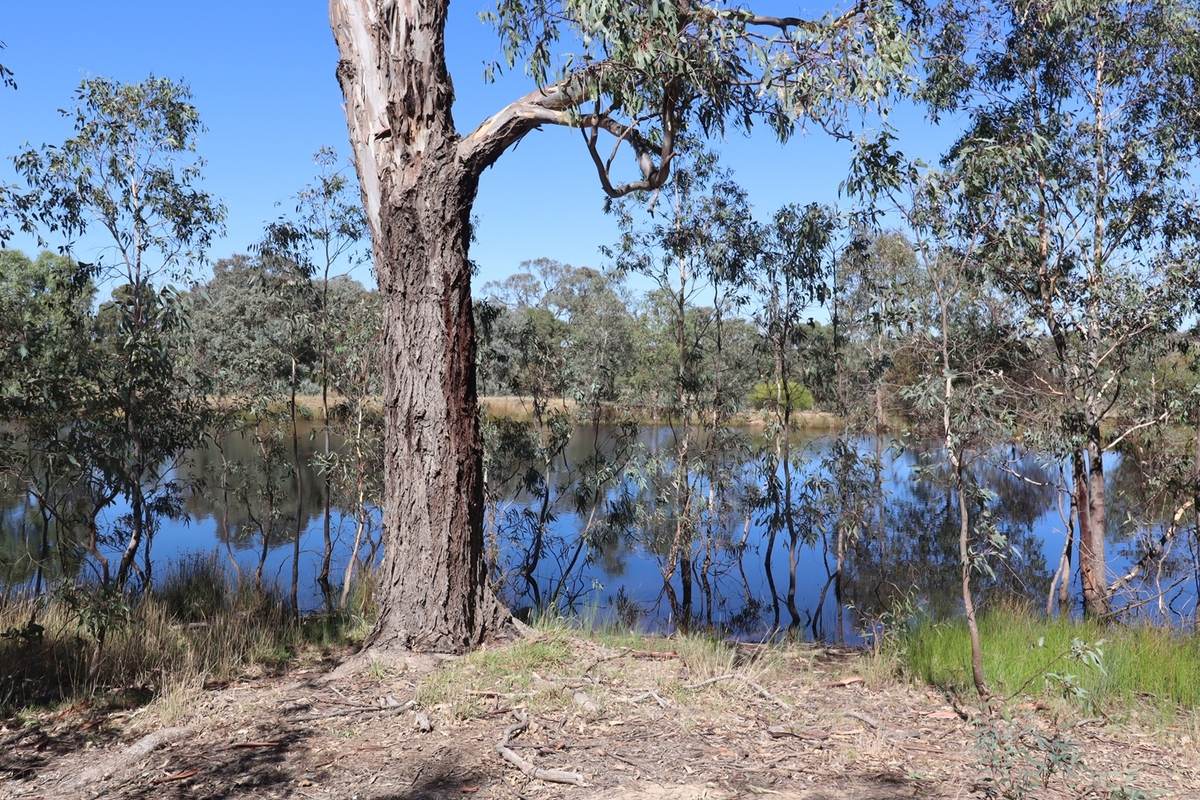 Lot 2, Lot 2 Lot 2 Heathcote-East Baynton Road, Mia Mia For Sale by Farmbuy.com - image 1