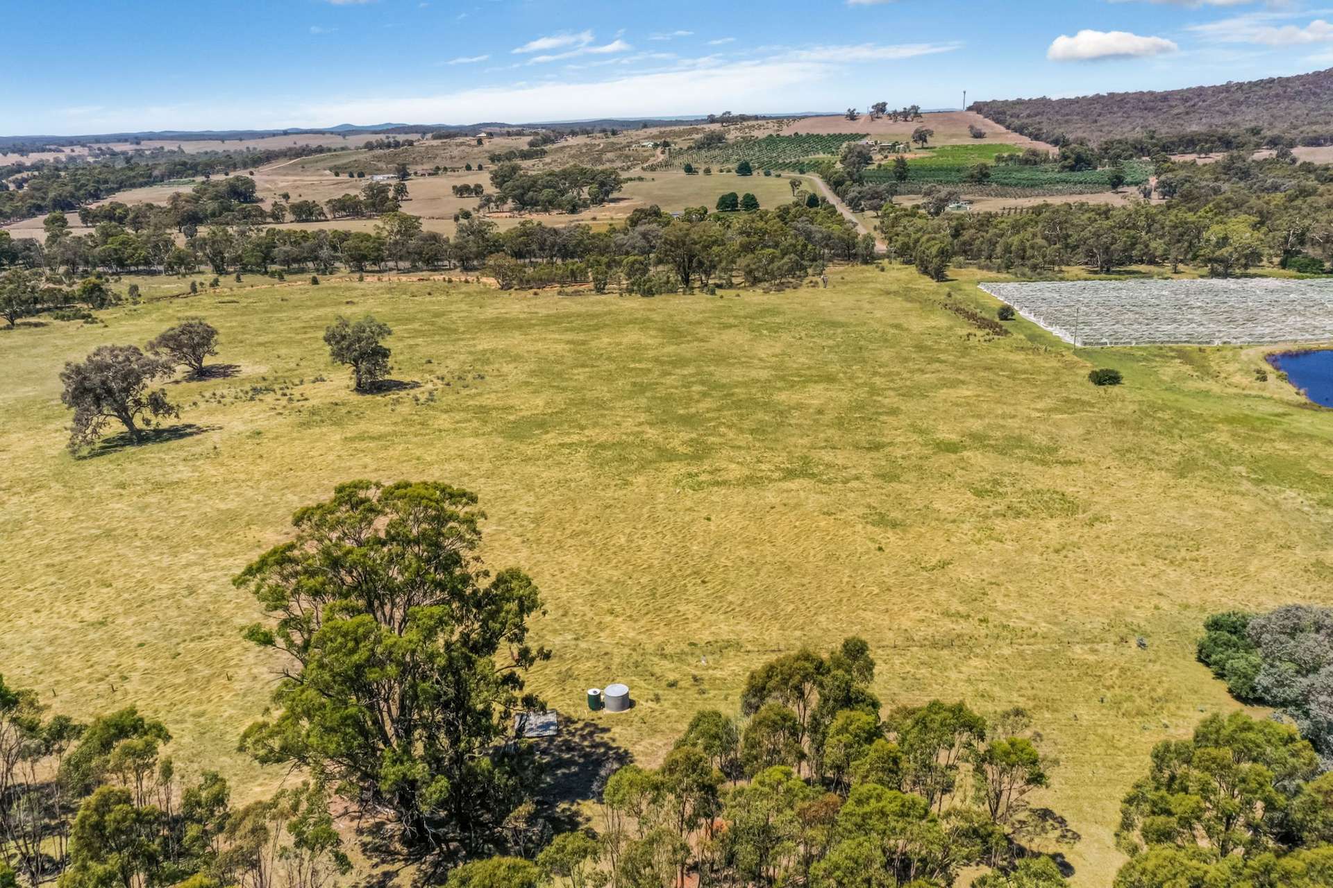 1159 Northern Highway, Ladys Pass For Sale by Farmbuy.com - image 3