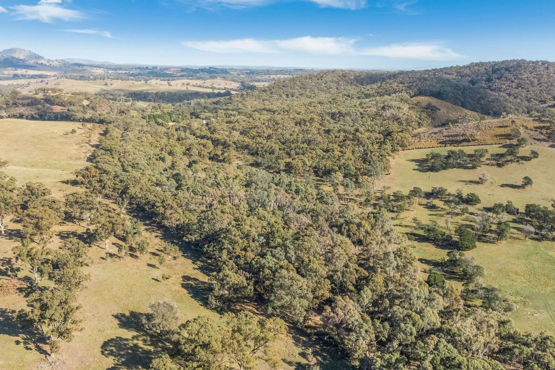 195 Majors Line Road, Tooborac For Sale by Farmbuy.com - image 5