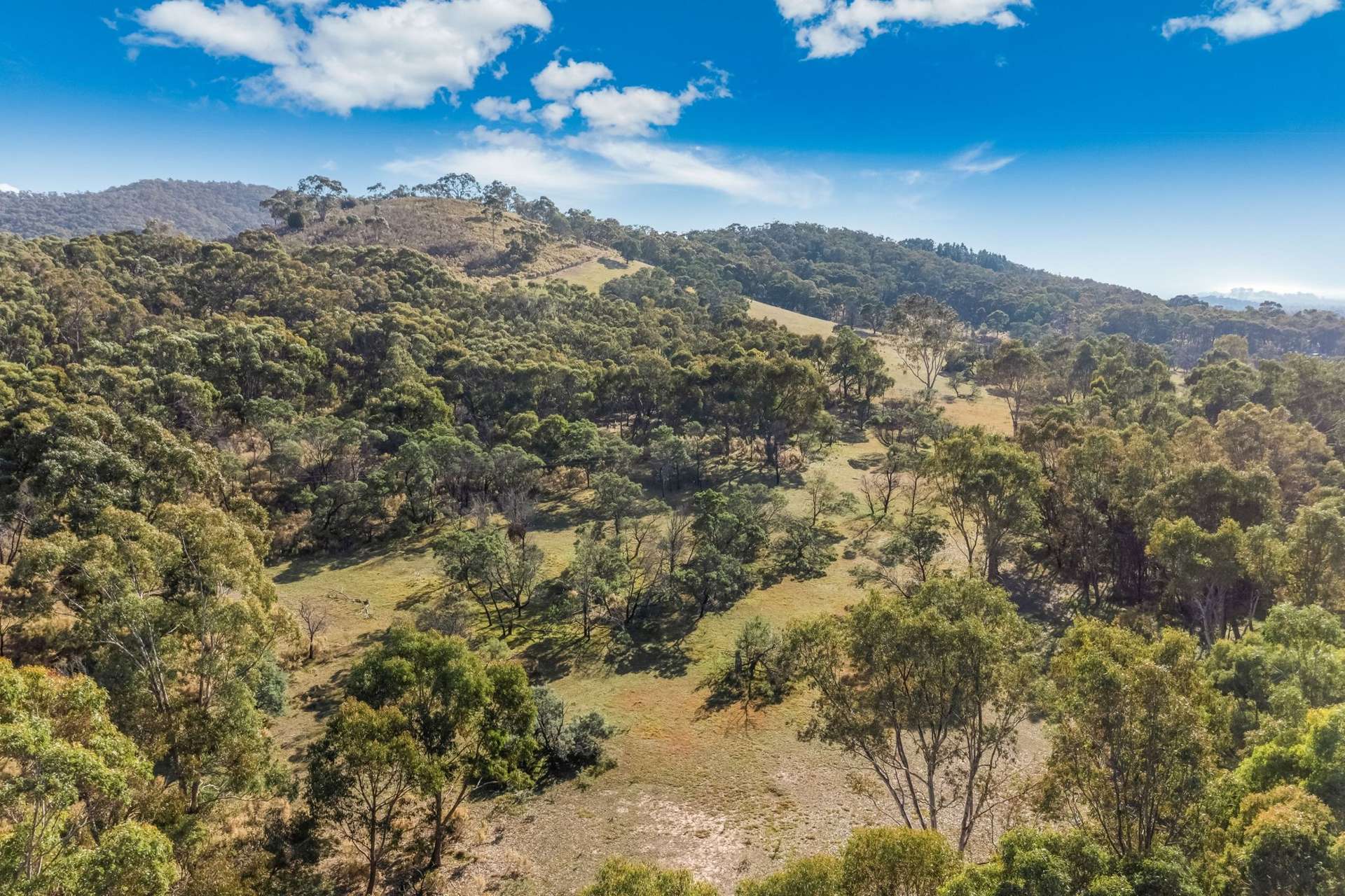 195 Majors Line Road, Tooborac For Sale by Farmbuy.com - image 7