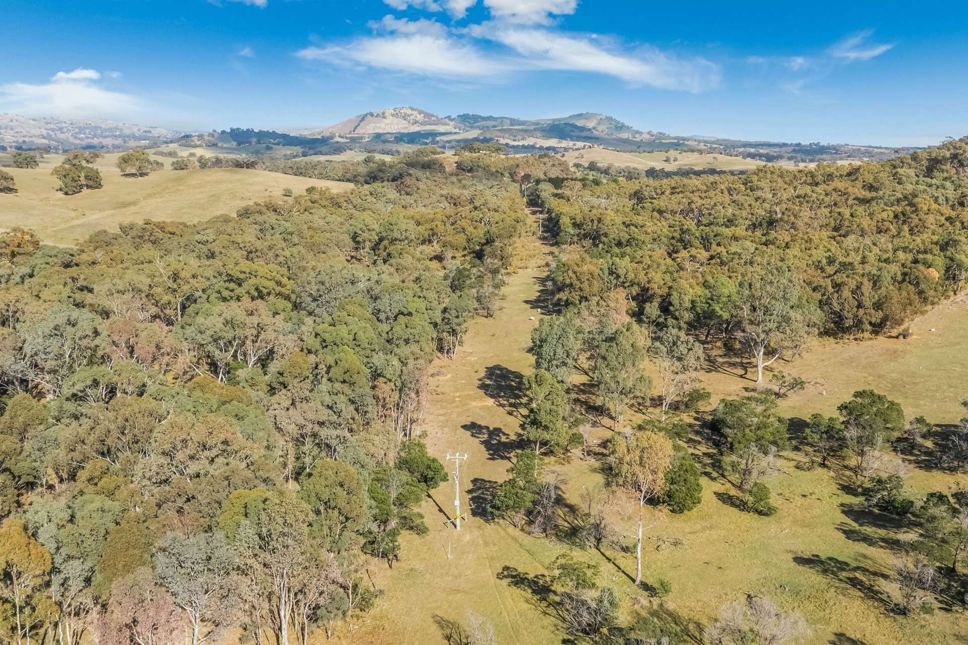 195 Majors Line Road, Tooborac For Sale by Farmbuy.com - image 6