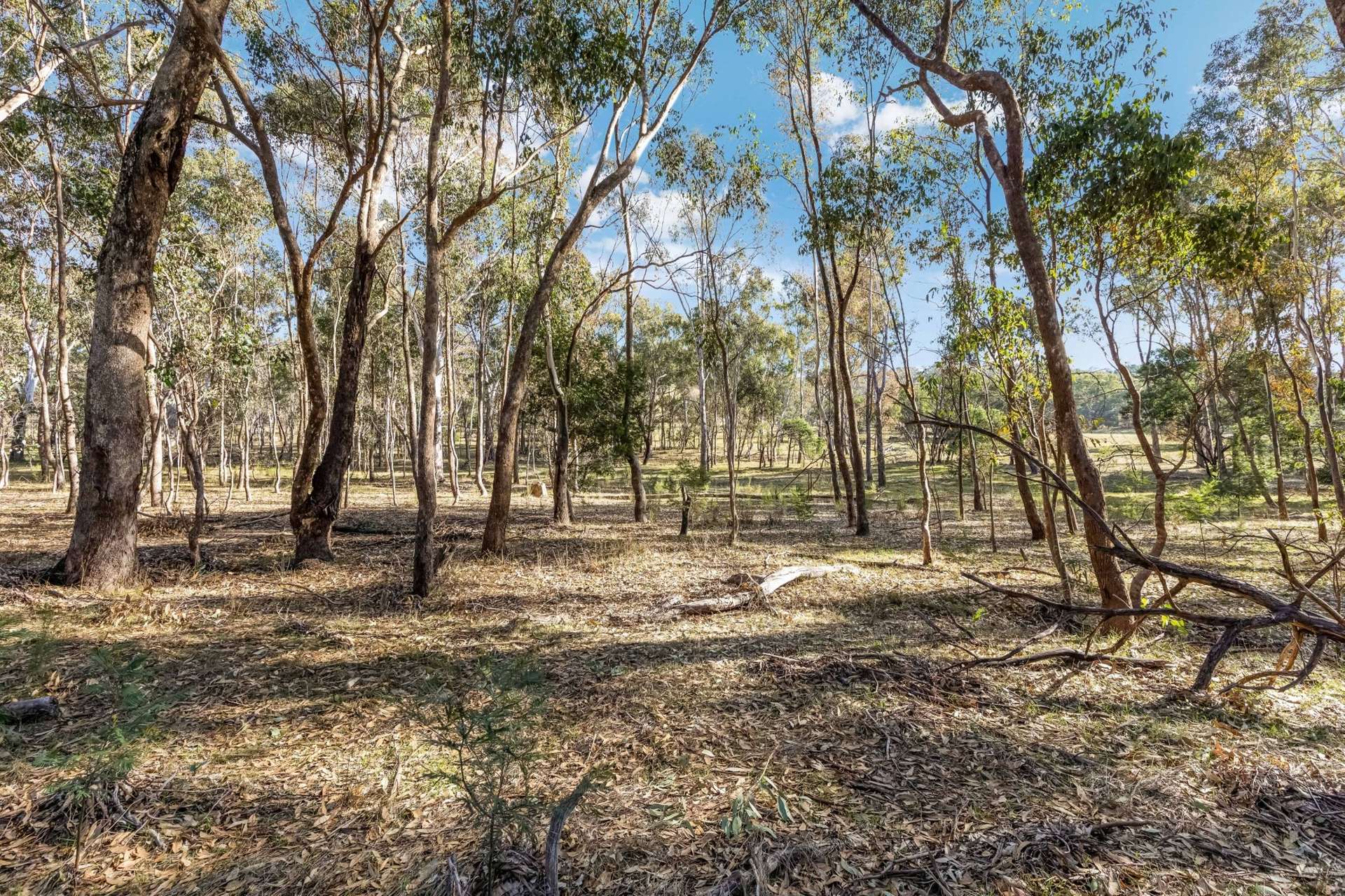 195 Majors Line Road, Tooborac For Sale by Farmbuy.com - image 2