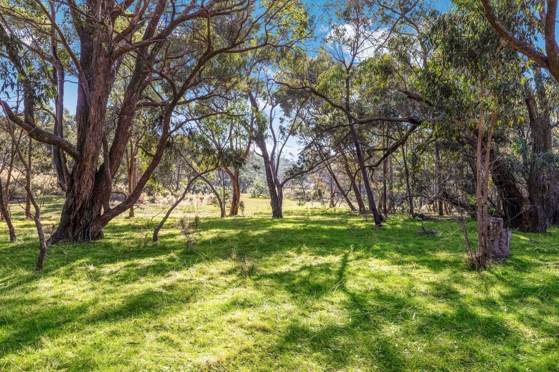 195 Majors Line Road, Tooborac For Sale by Farmbuy.com - image 3