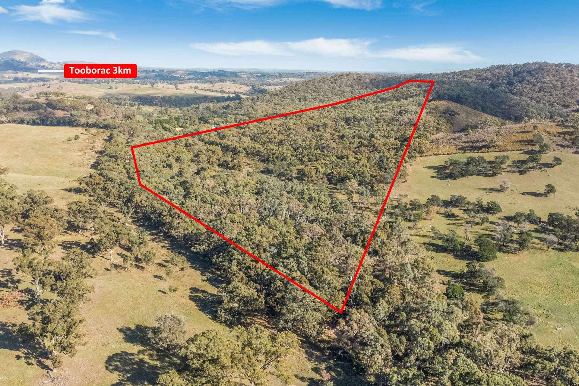 195 Majors Line Road, Tooborac For Sale by Farmbuy.com - image 5