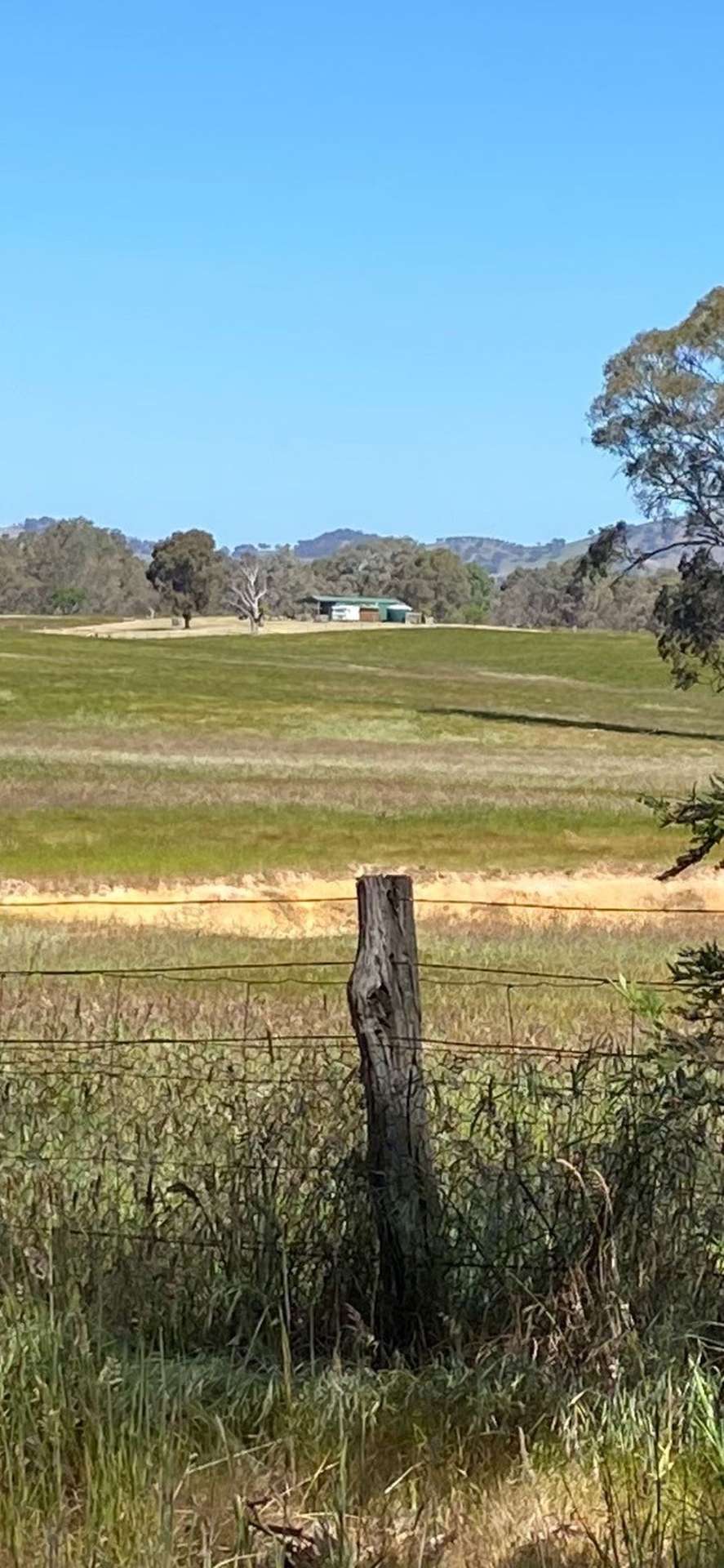 28 Ring Lane, Tooborac For Sale by Farmbuy.com - image 7