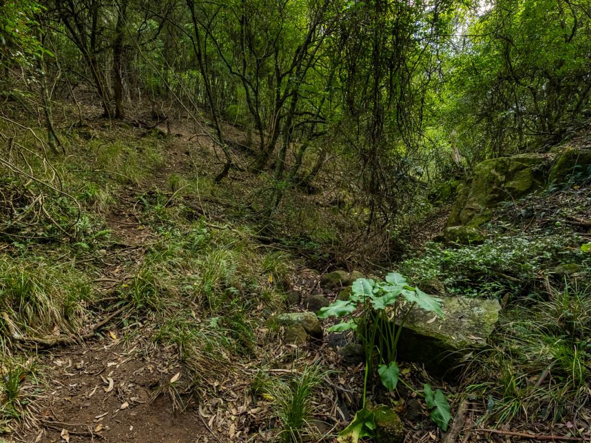 193 Black Range Road, Bega For Sale by Farmbuy.com - image 12